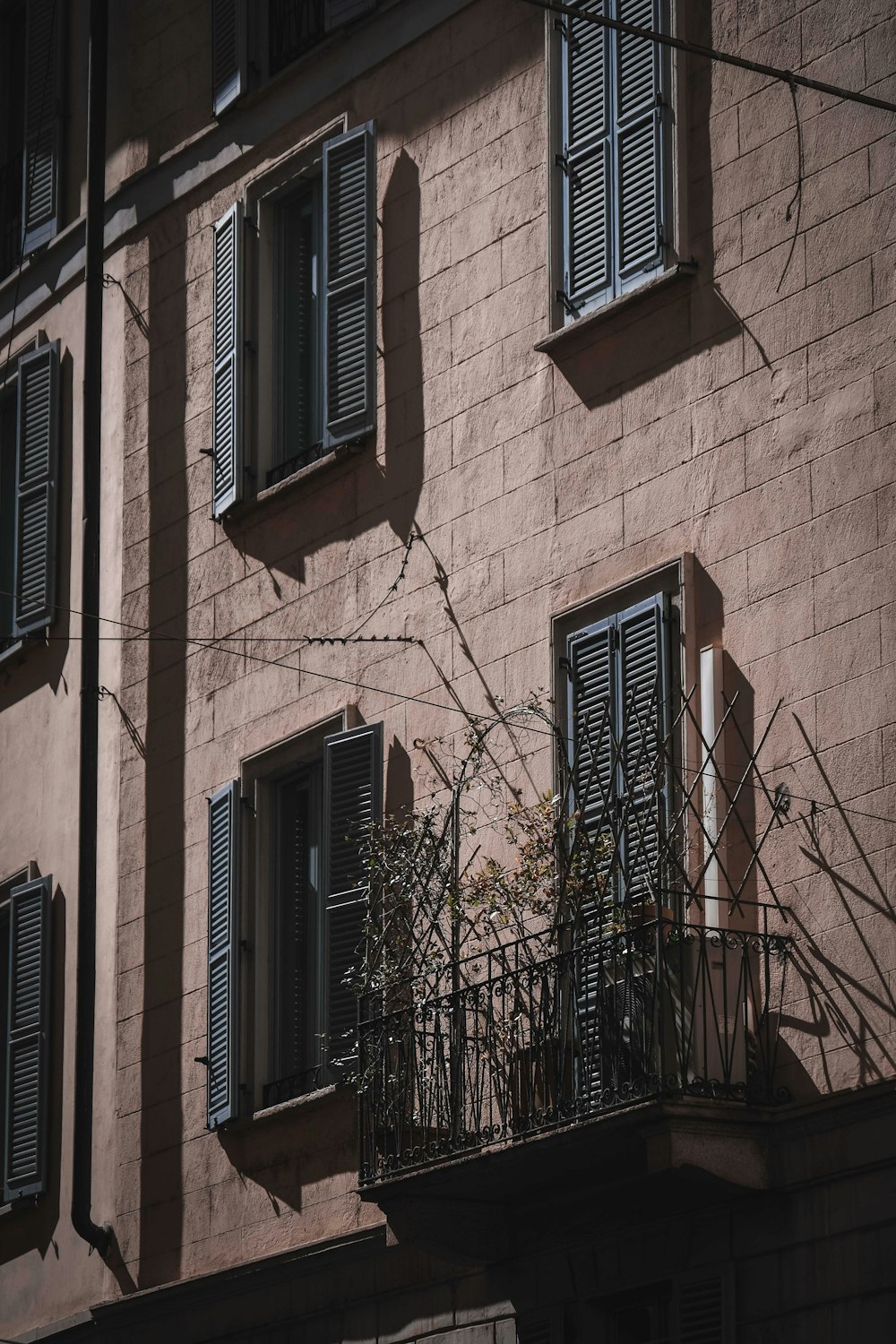 a tall building with lots of windows next to a tree