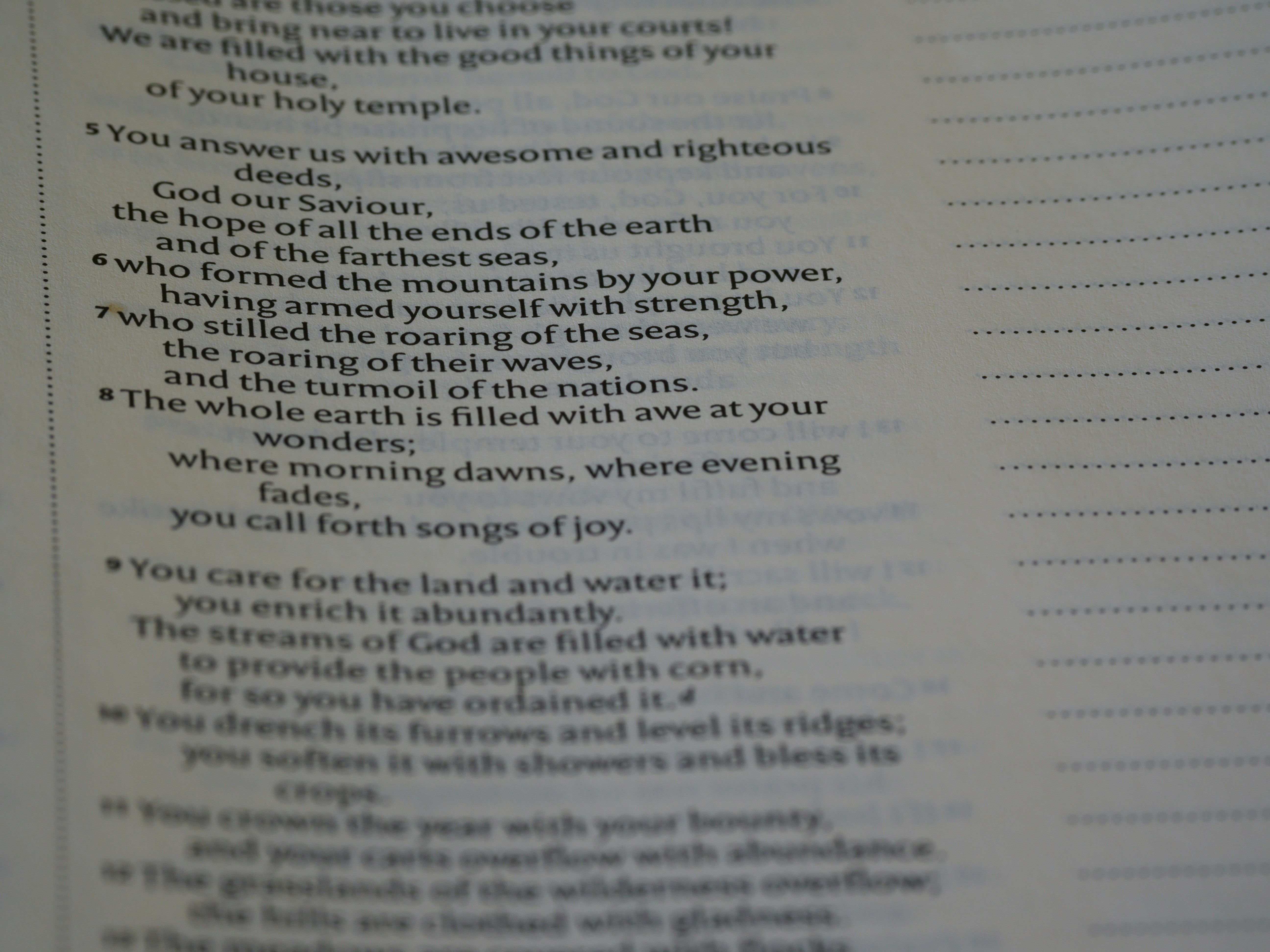 Photo by brett_jordan