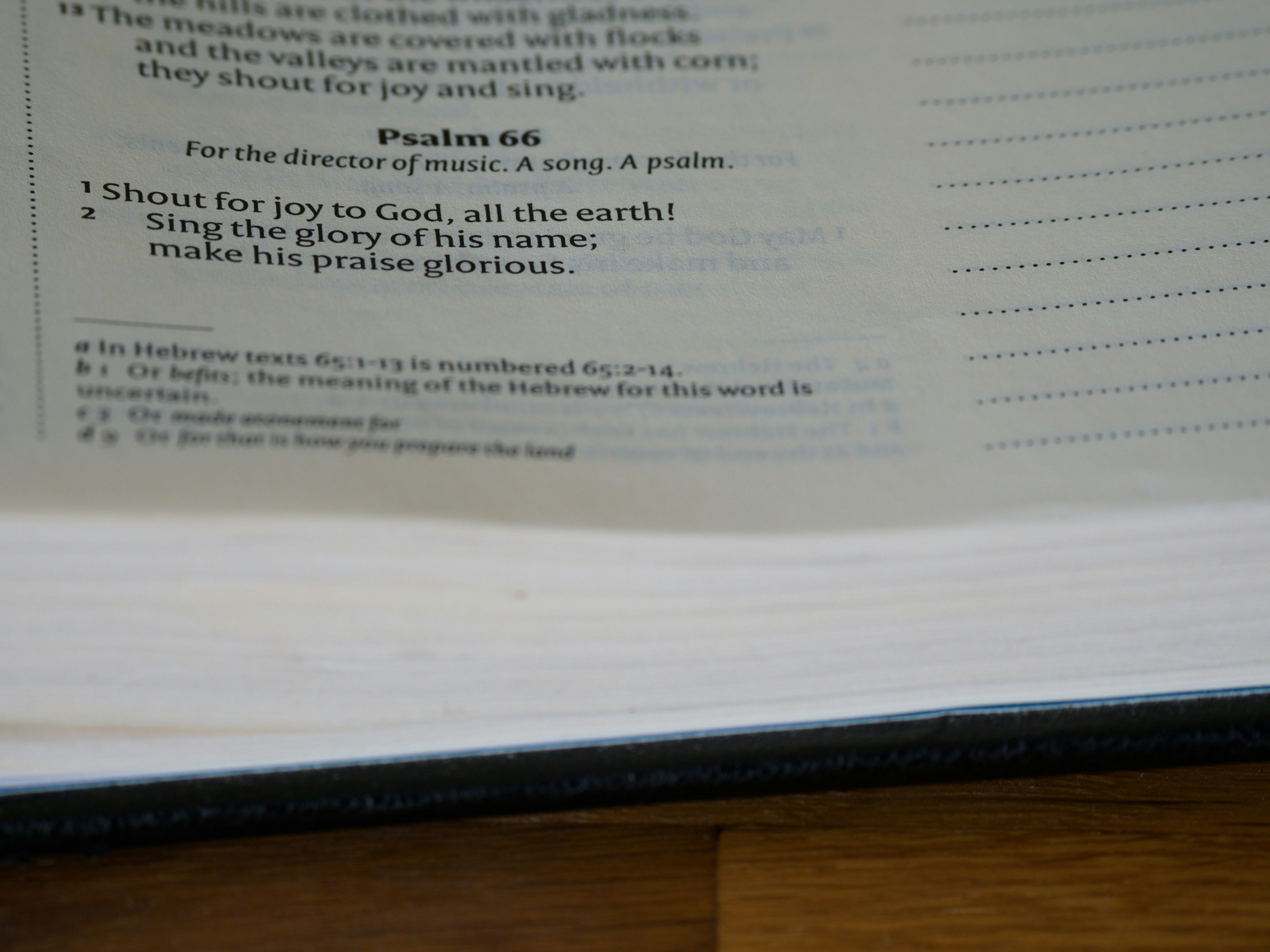 Photo by brett_jordan