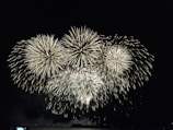 A dazzling display of large fireworks exploding in the night sky, with bright bursts of light radiating outward. The scene is illuminated by multiple fireworks creating a grand spectacle against the dark background.