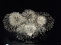 A panoramic view of a grand pyrotechnic display lighting up the night sky.