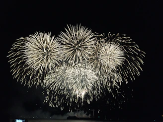 A spectacular fireworks display lighting up the night sky over a grand event.