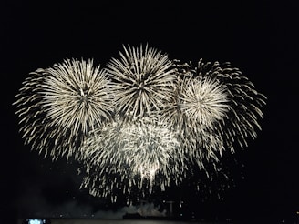 A night scene showing a grand fireworks finale with multiple colors exploding in the sky.
