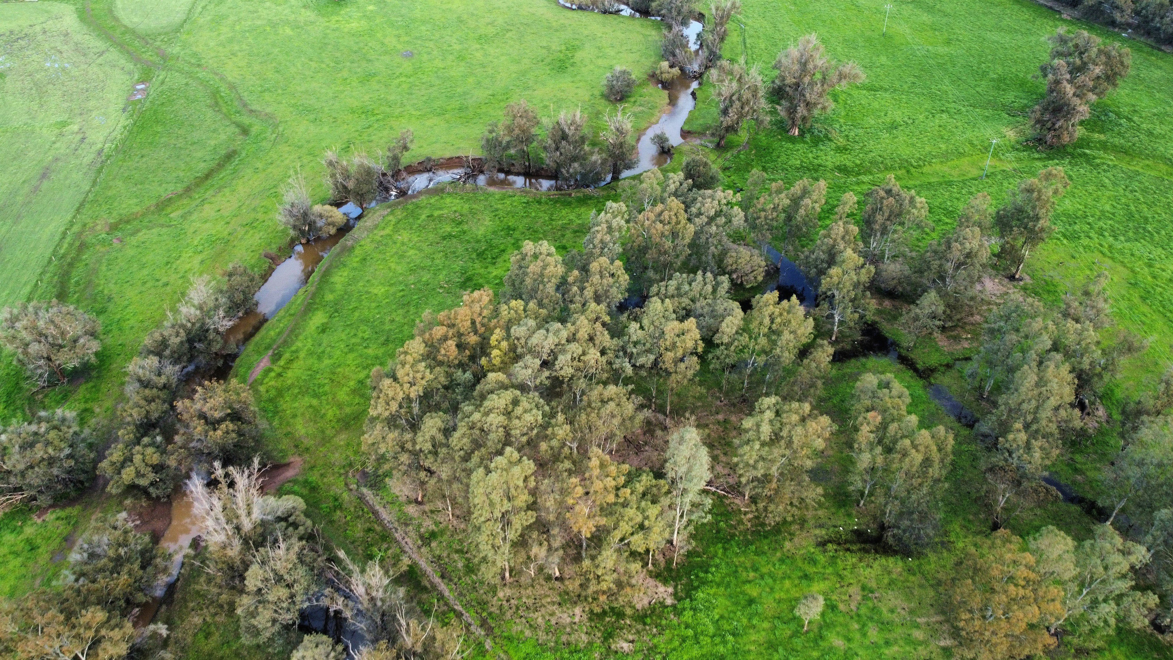 Photo by tsf_photography