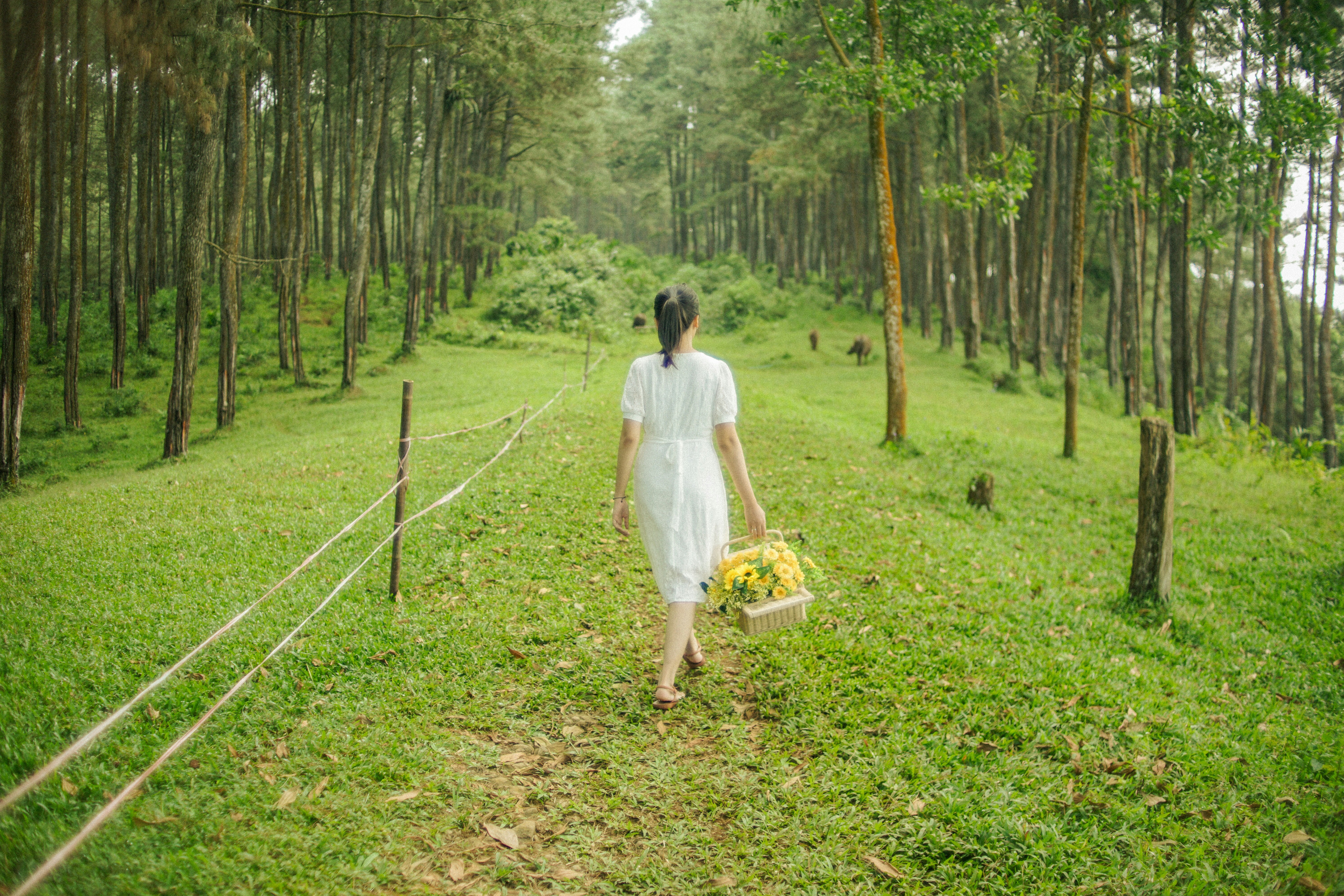 Photo by wahyu_pradiptia