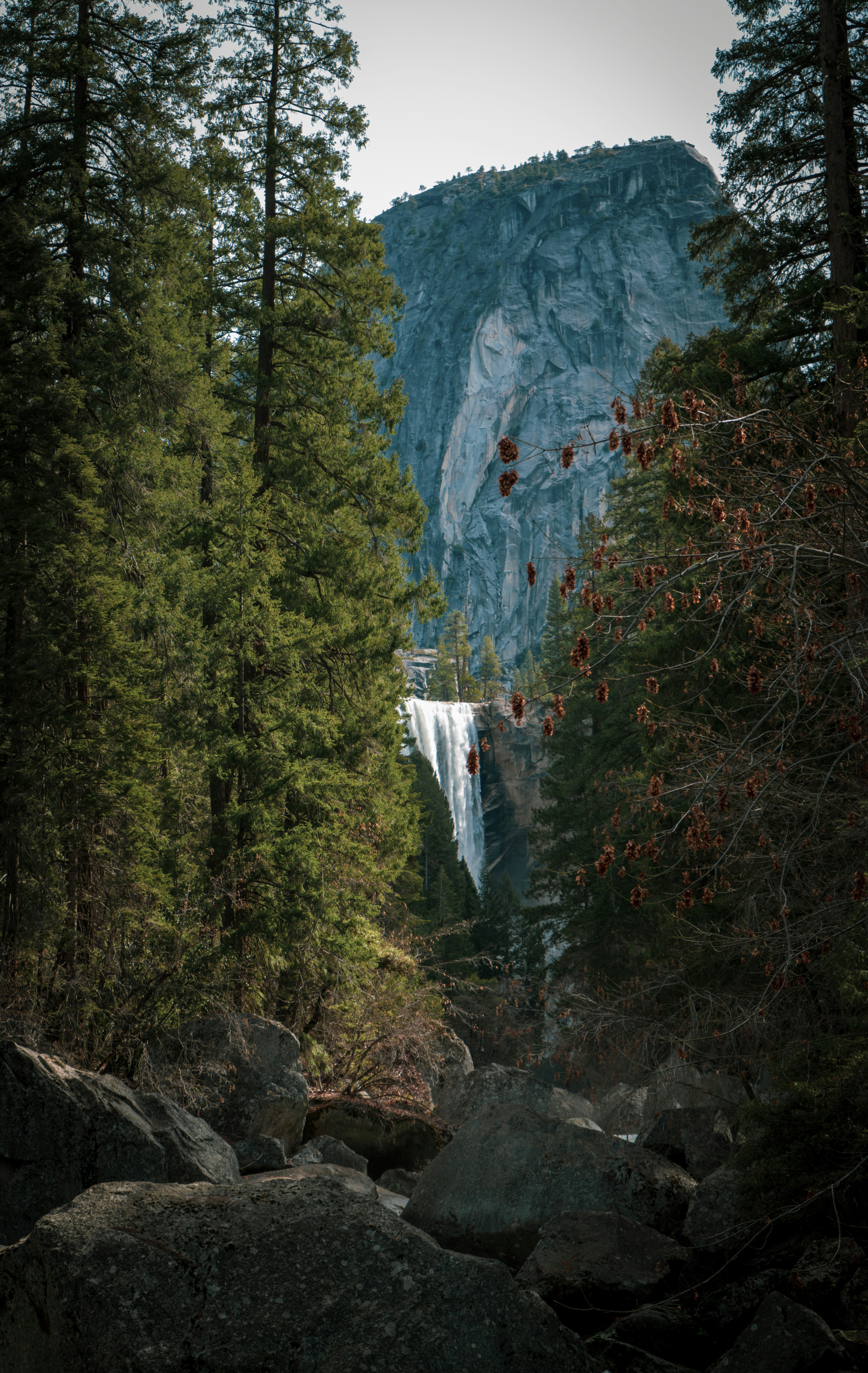 a waterfall in the middle of a forest