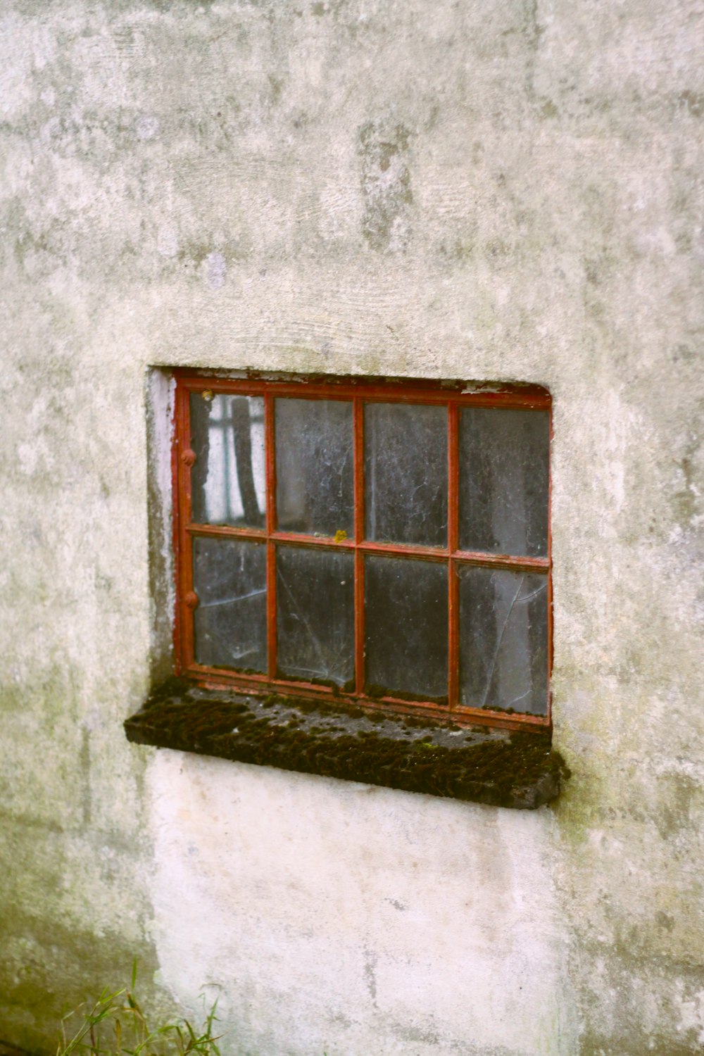 una finestra sul lato di un edificio