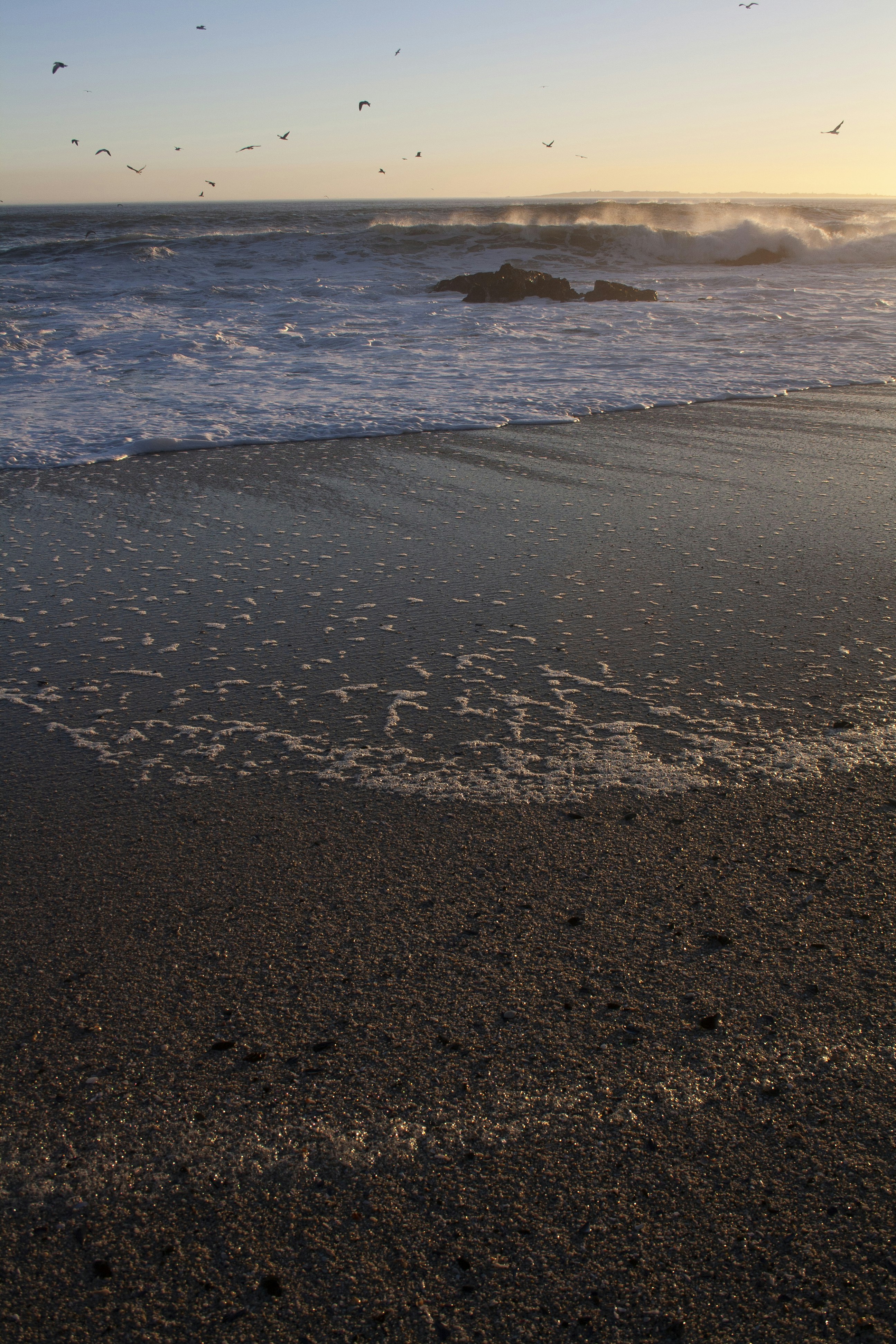 Photo by amy_harrison