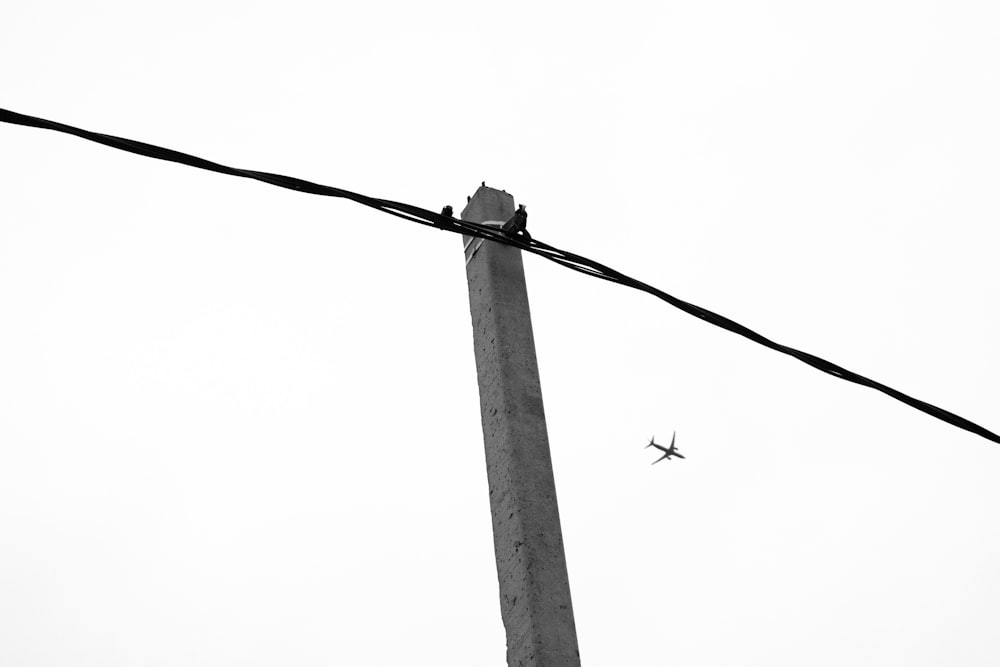 a bird sitting on top of a power line