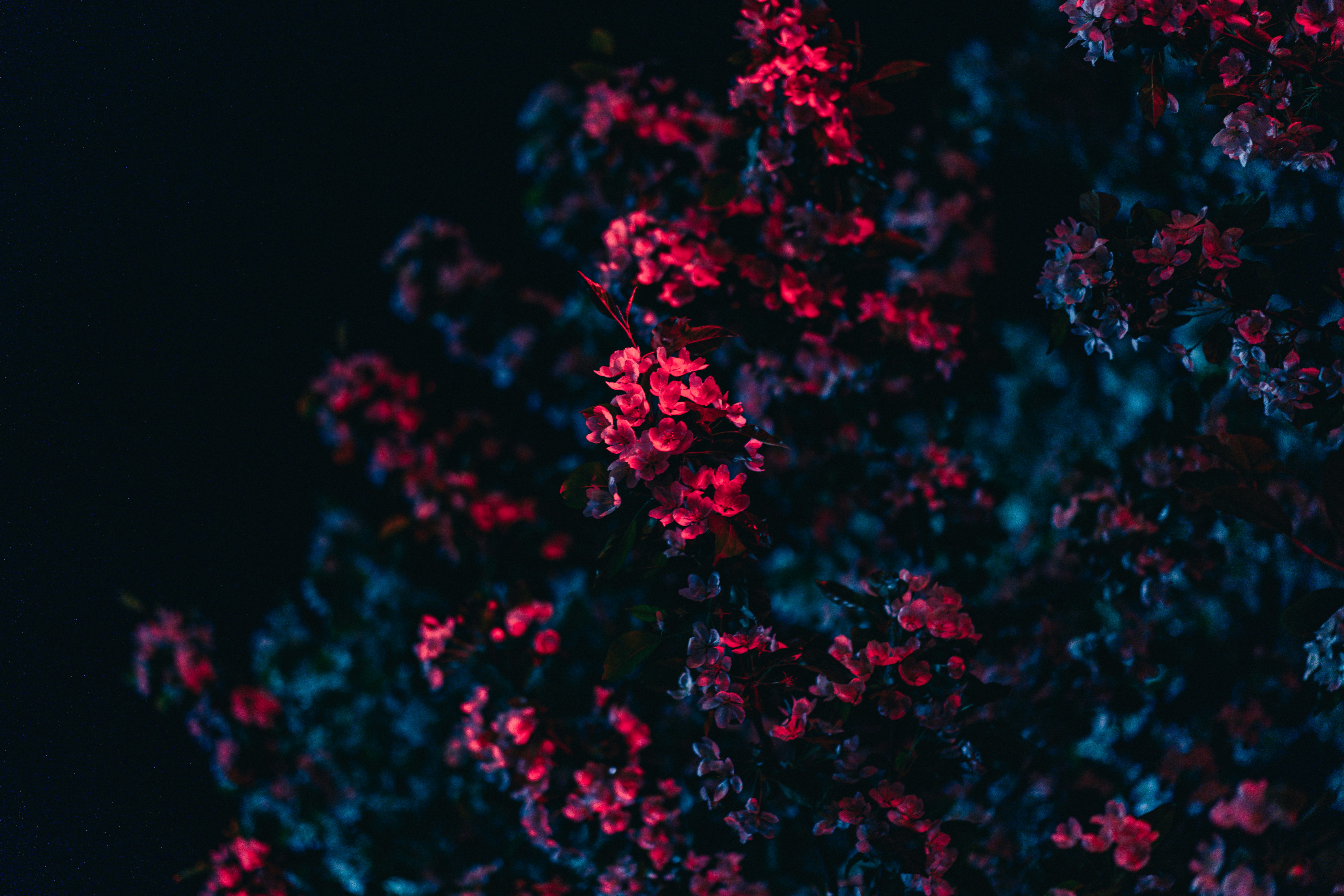 Photo by anamnesis33