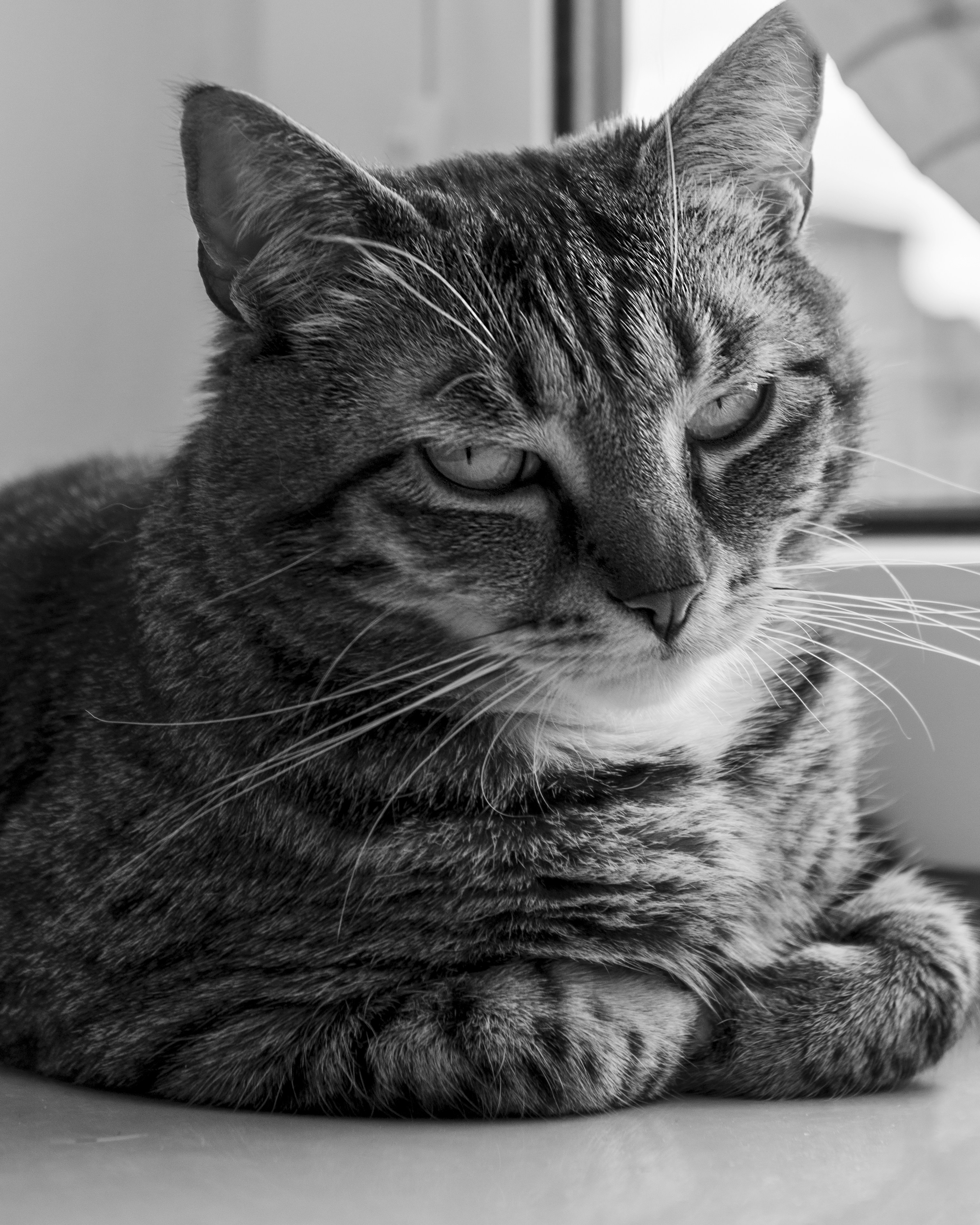 Photo by mateuszwysocki25