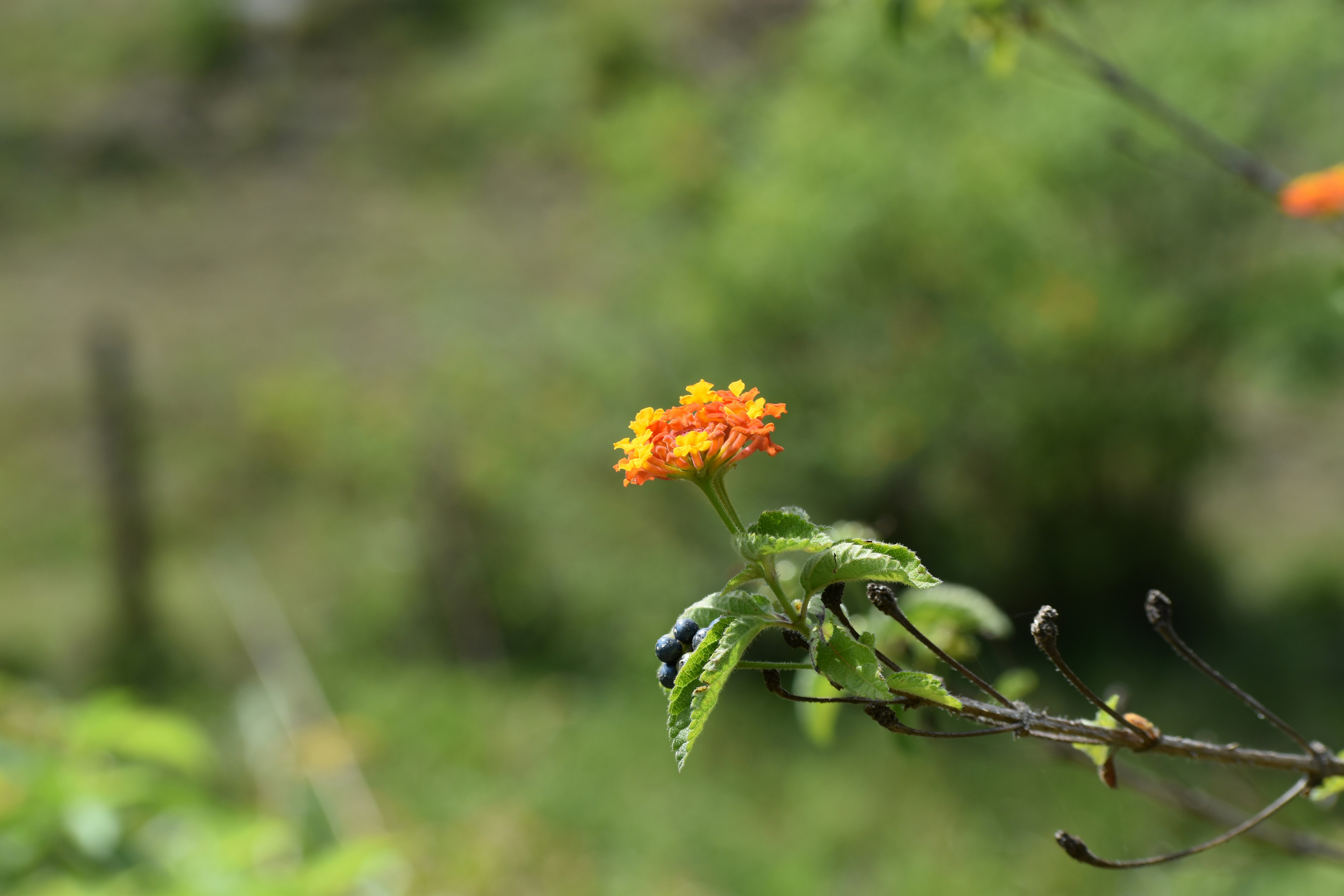 Photo by hp_aale