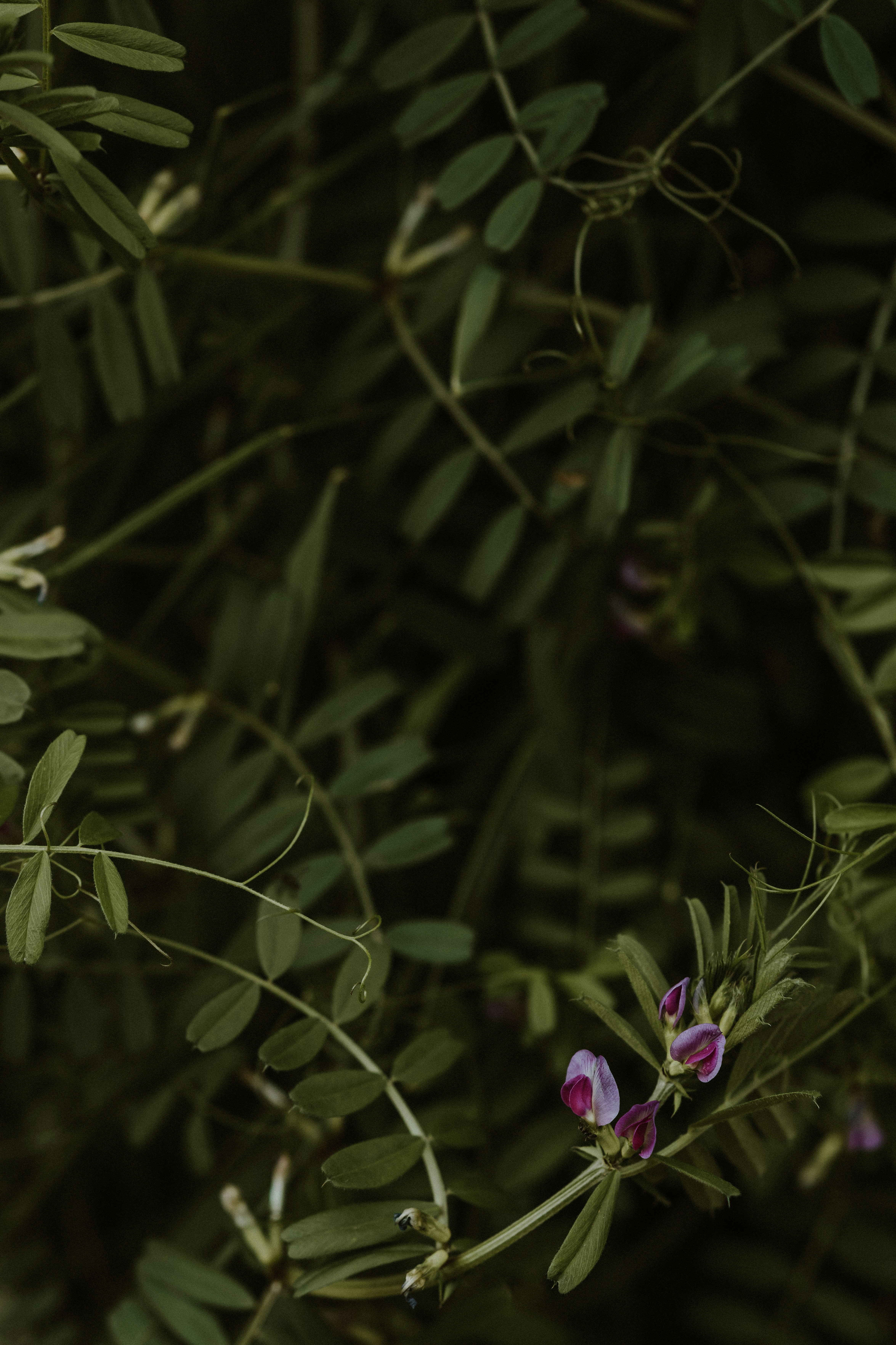 Photo by anniespratt