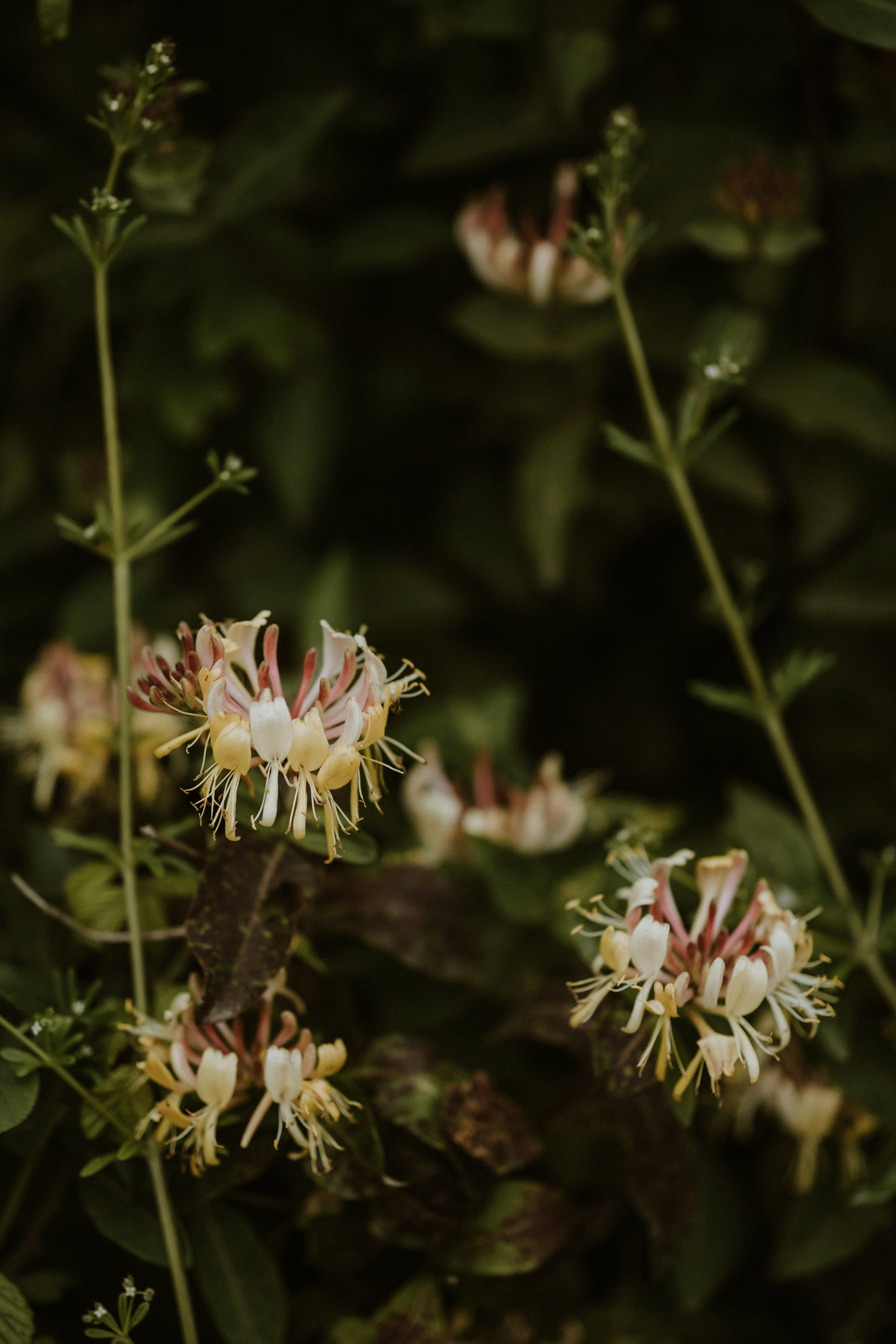 Photo by anniespratt