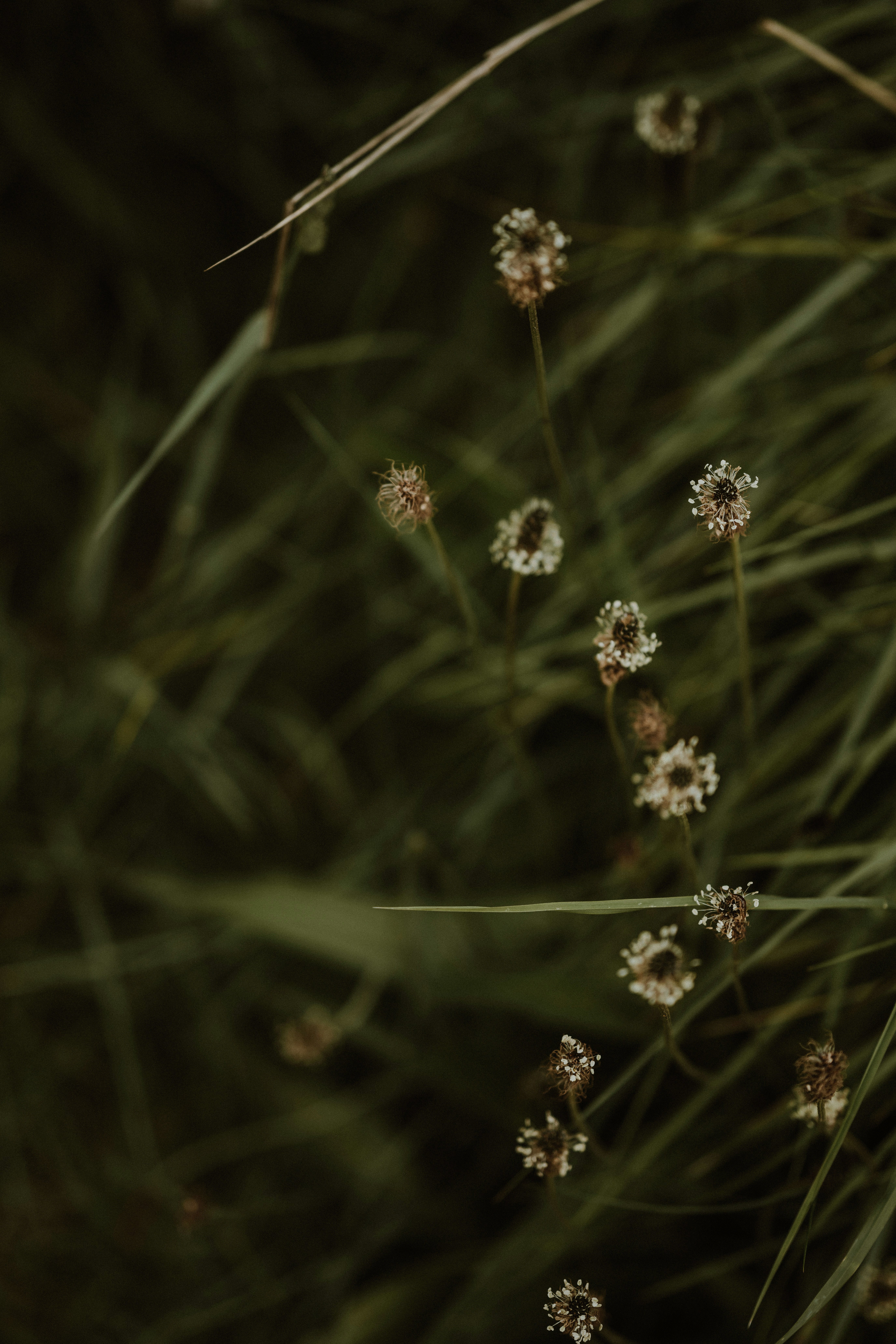 Photo by anniespratt