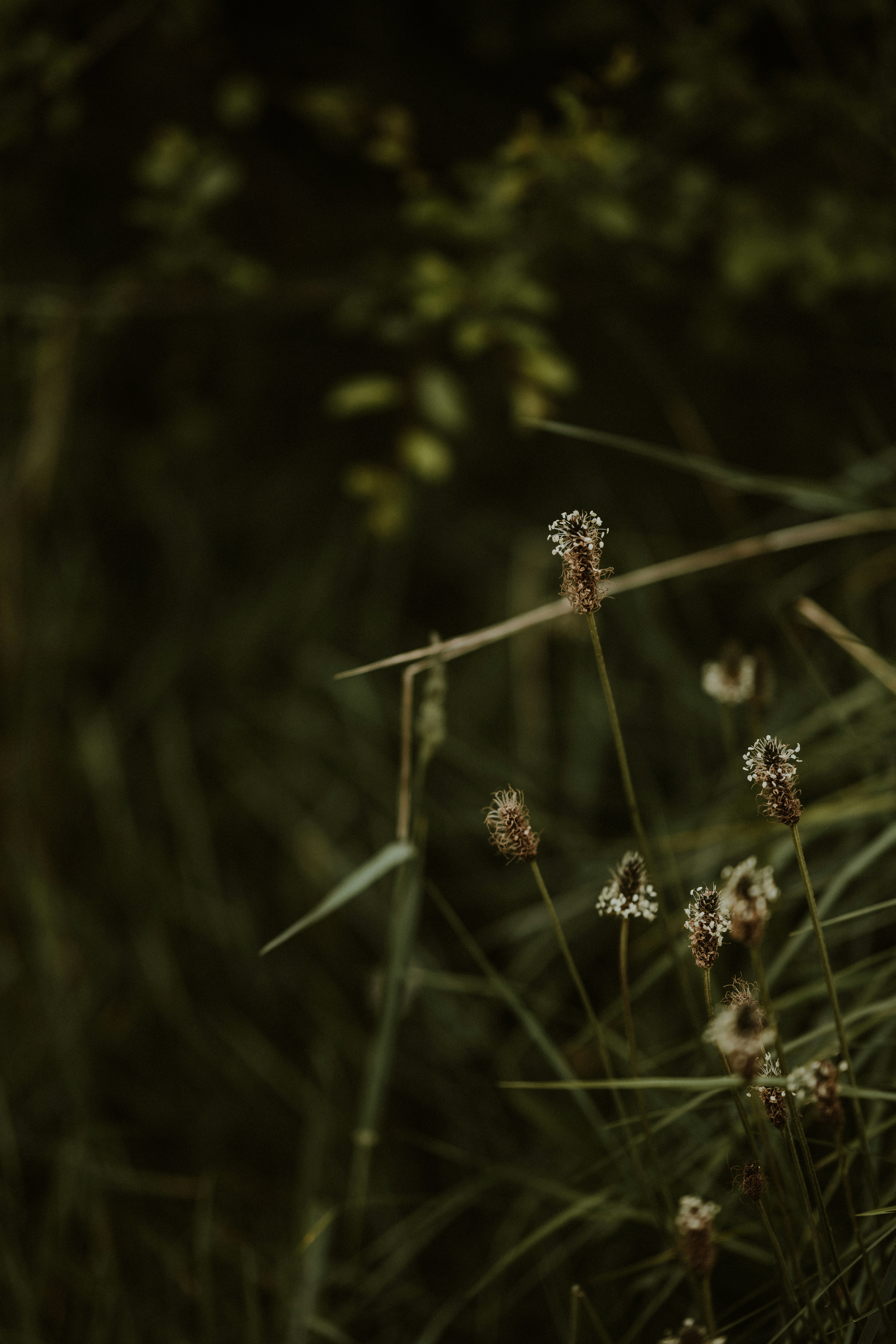 Photo by anniespratt