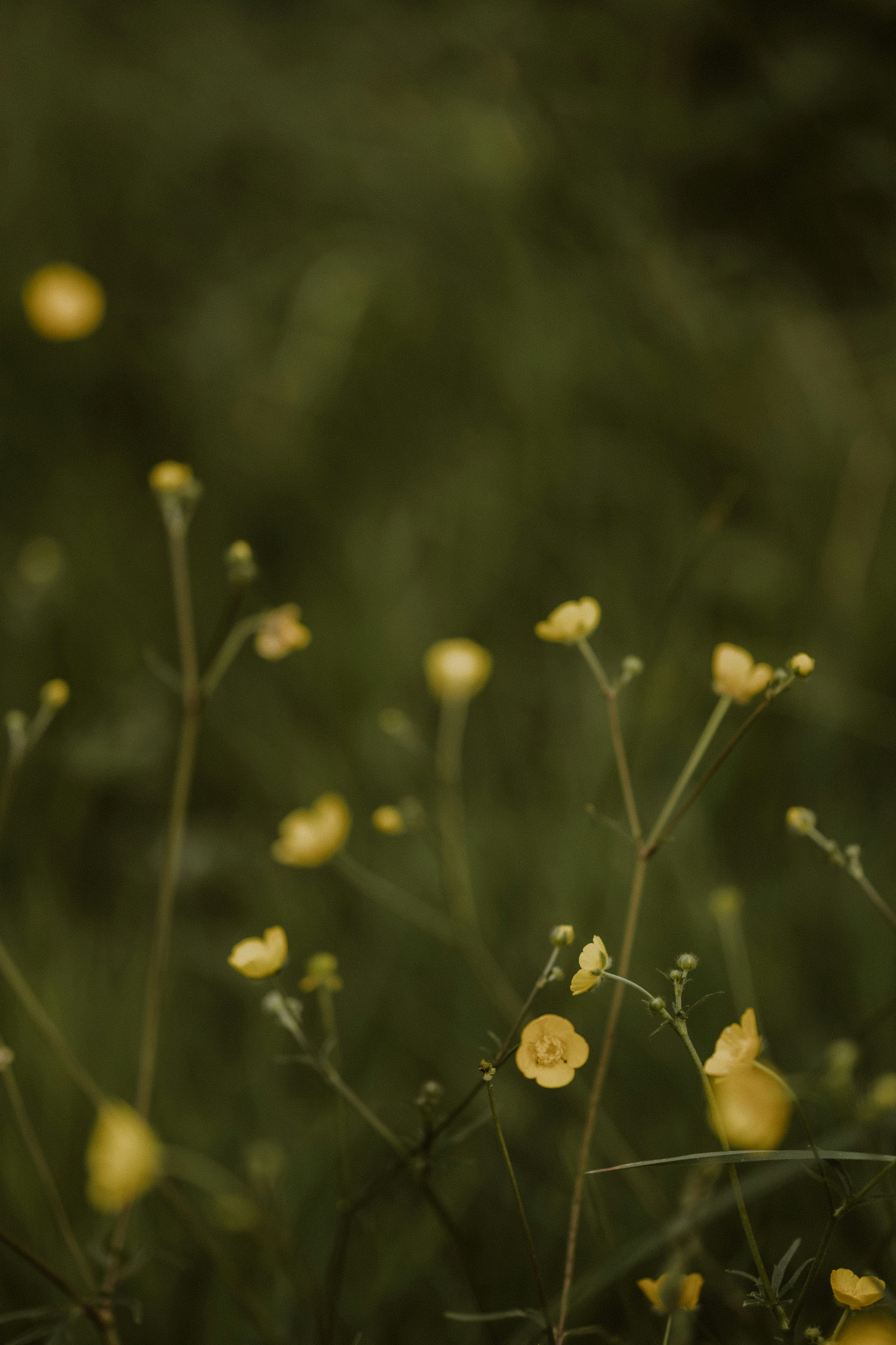 Photo by anniespratt