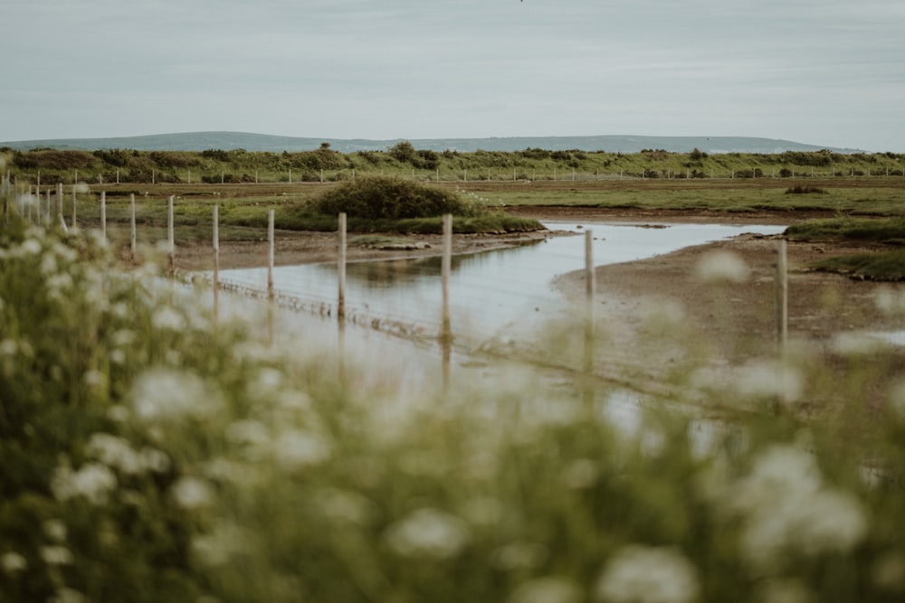 a body of water surrounded by a fence