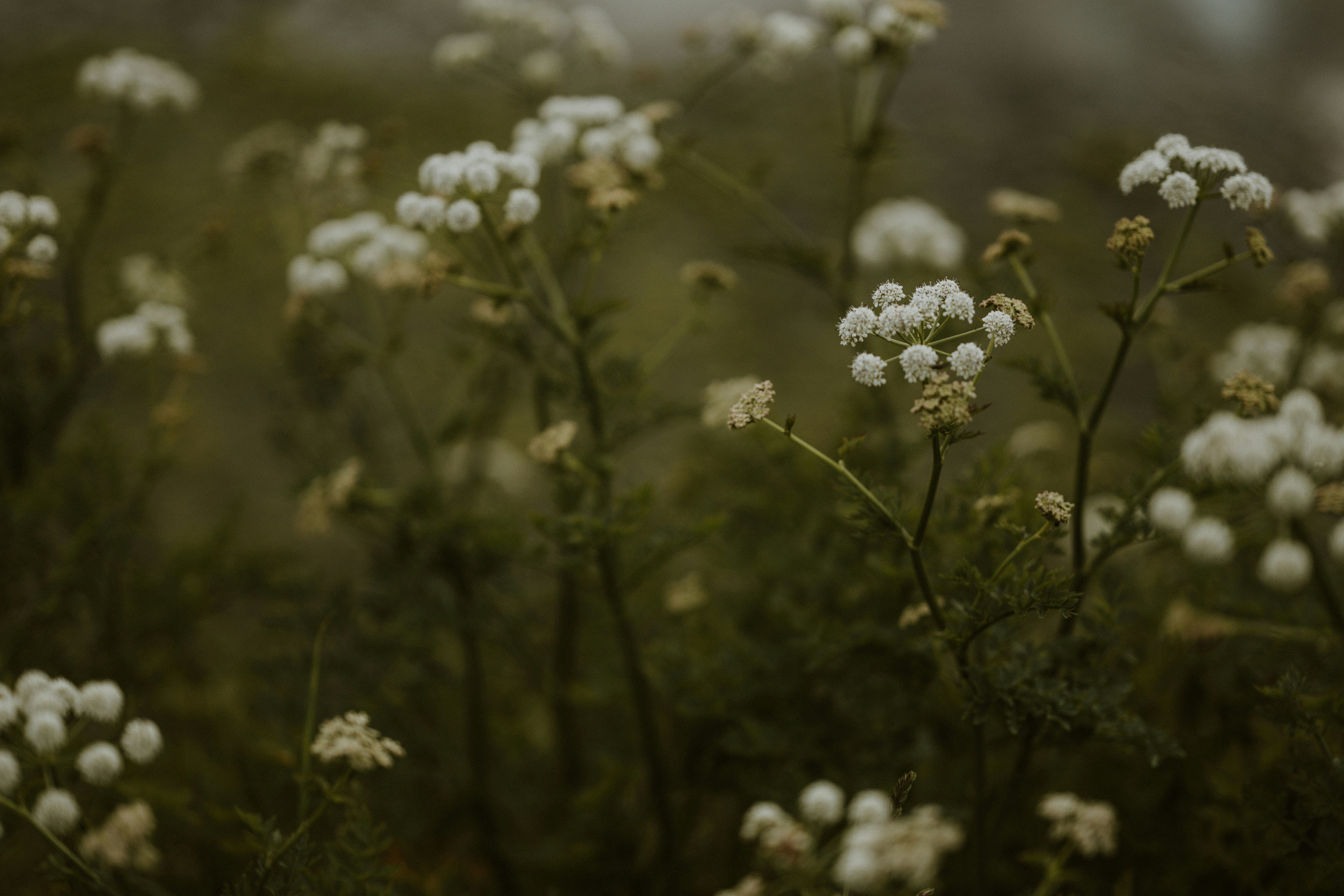 Photo by anniespratt