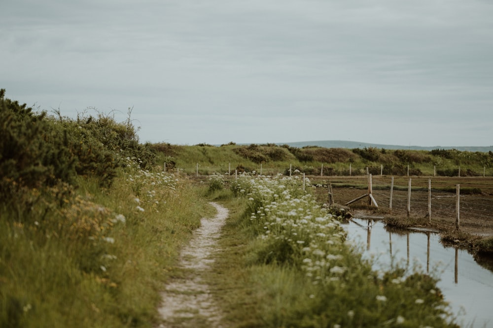 a dirt path that is next to a body of water