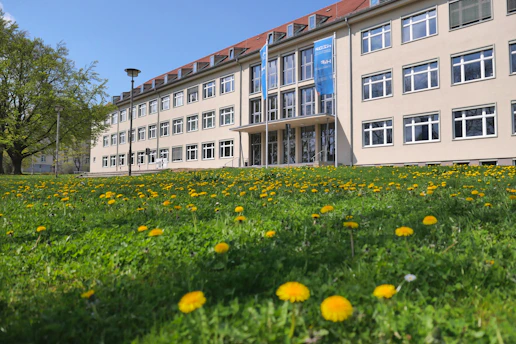 a field of yellow dandelions in front of a building