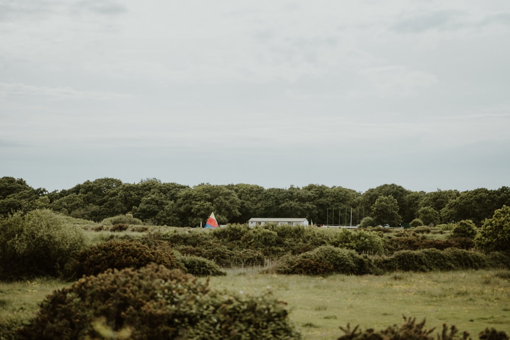 a field with trees and a house in the distance