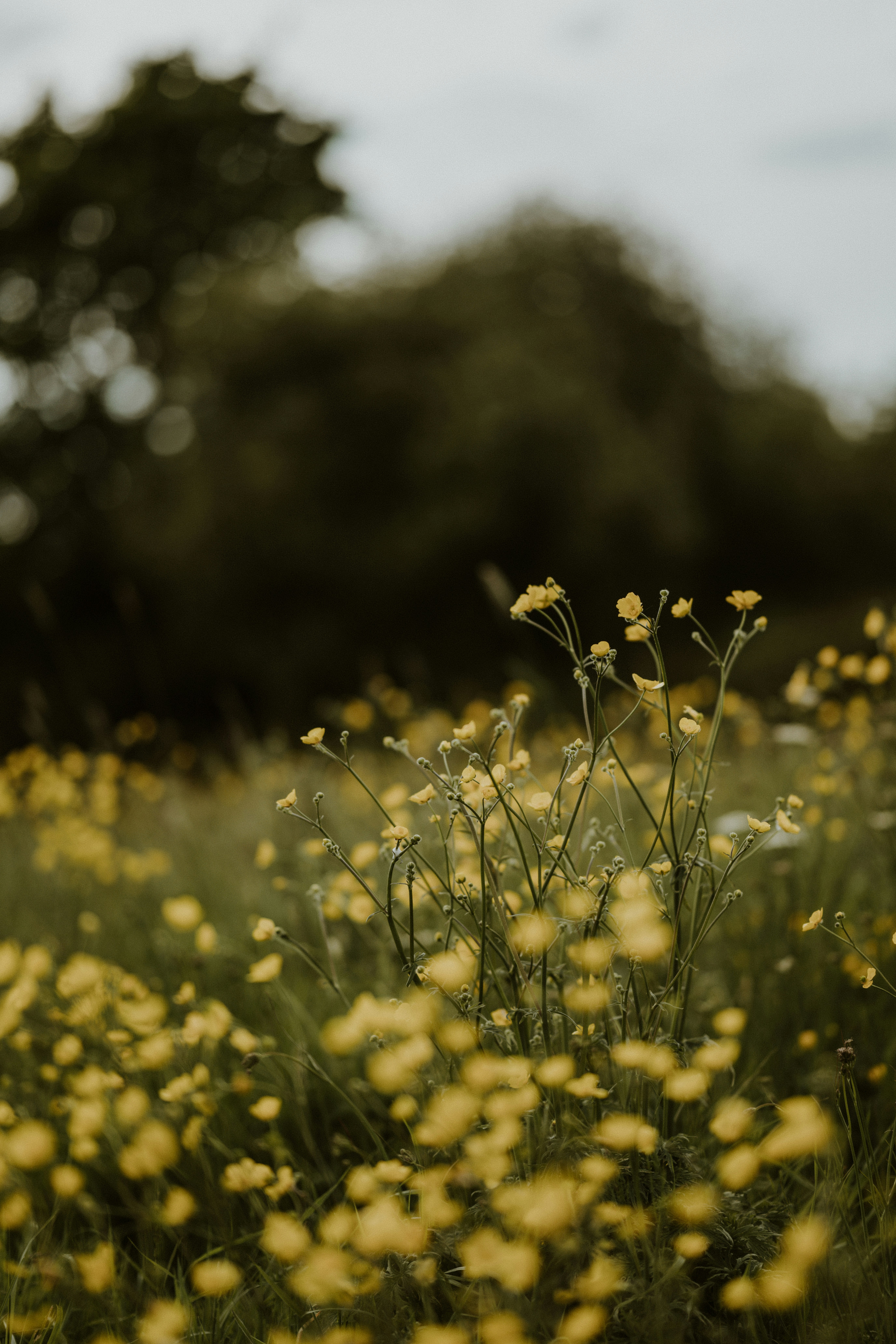 Photo by anniespratt