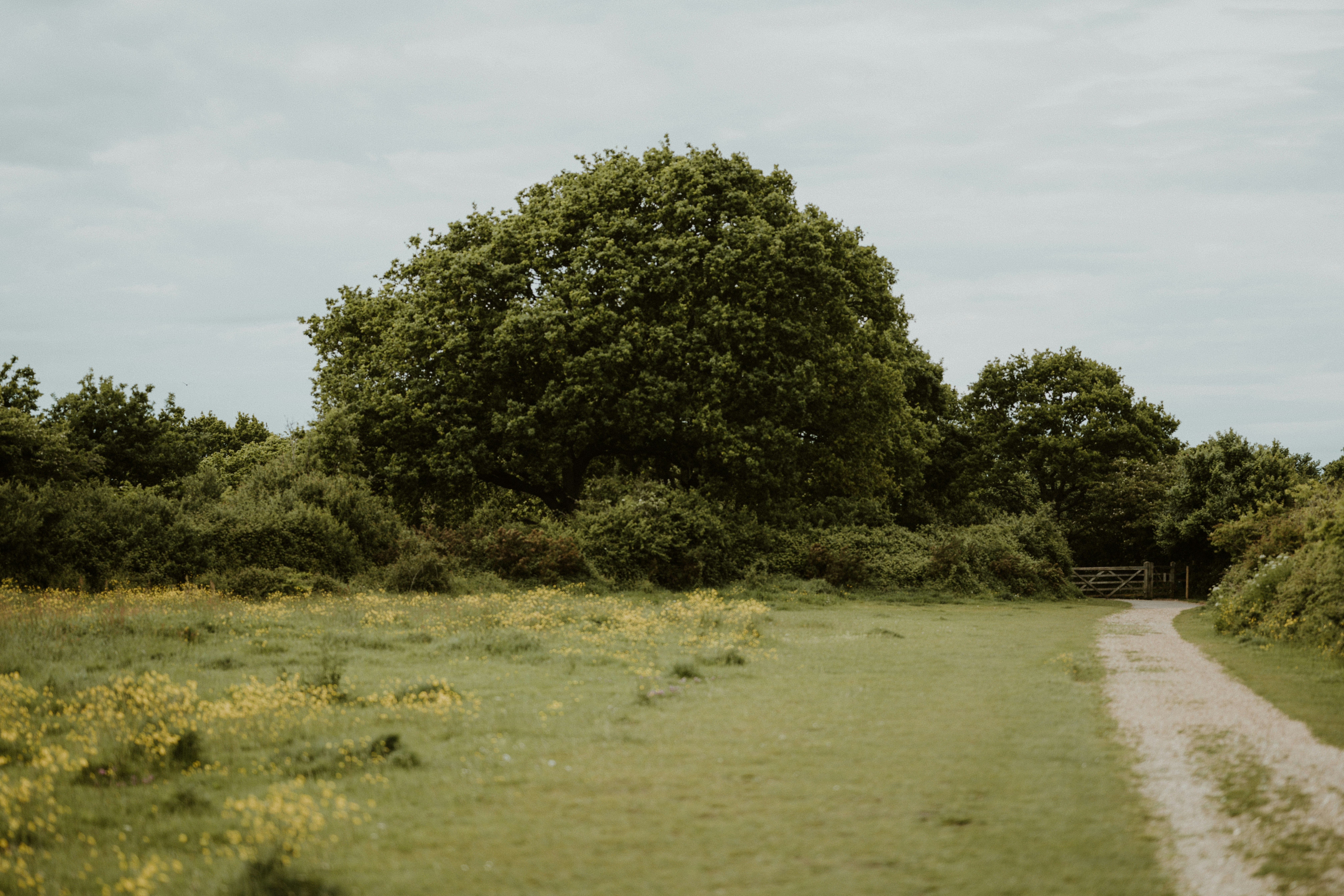 Photo by anniespratt