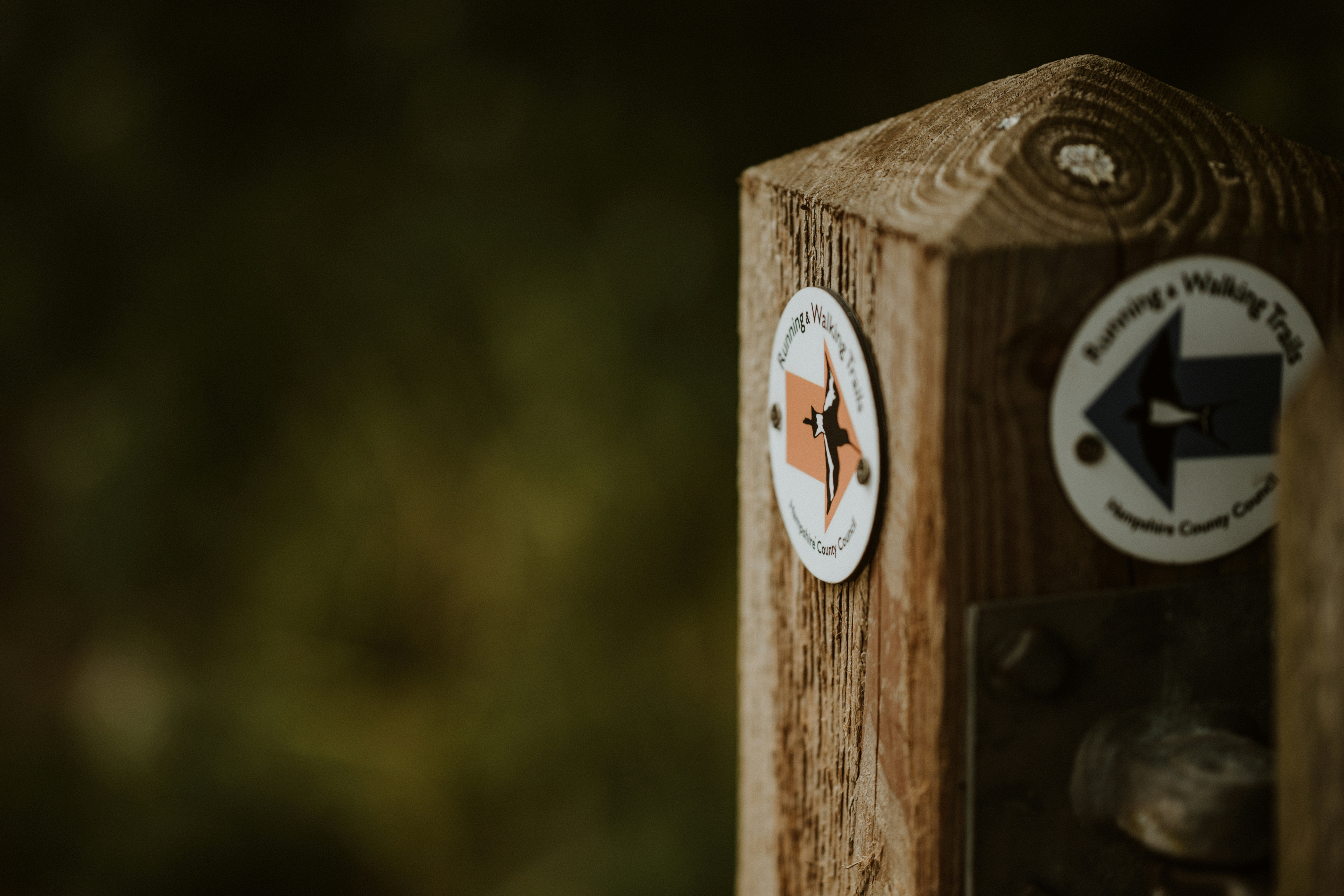 Photo by anniespratt