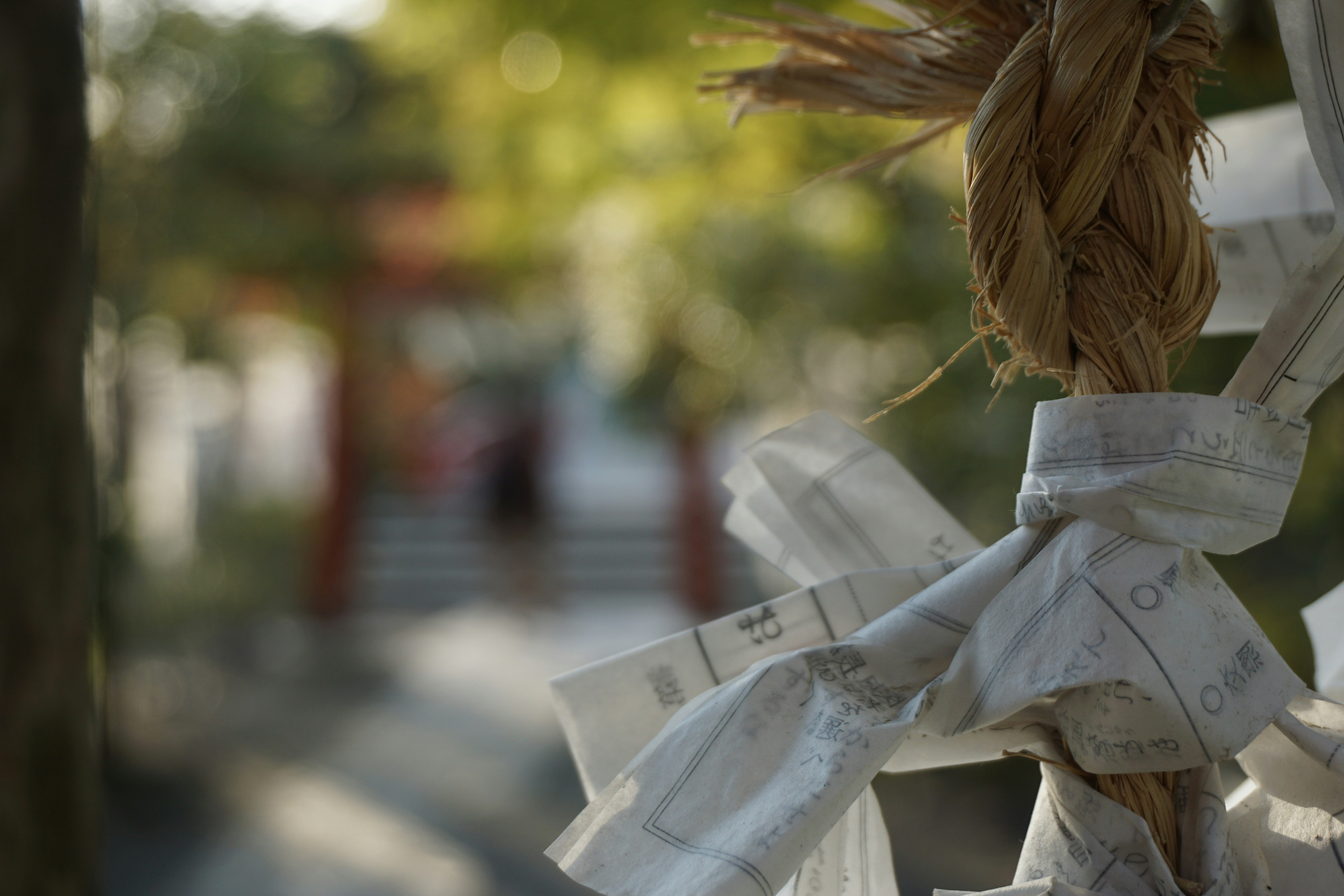 Photo by wanderplans