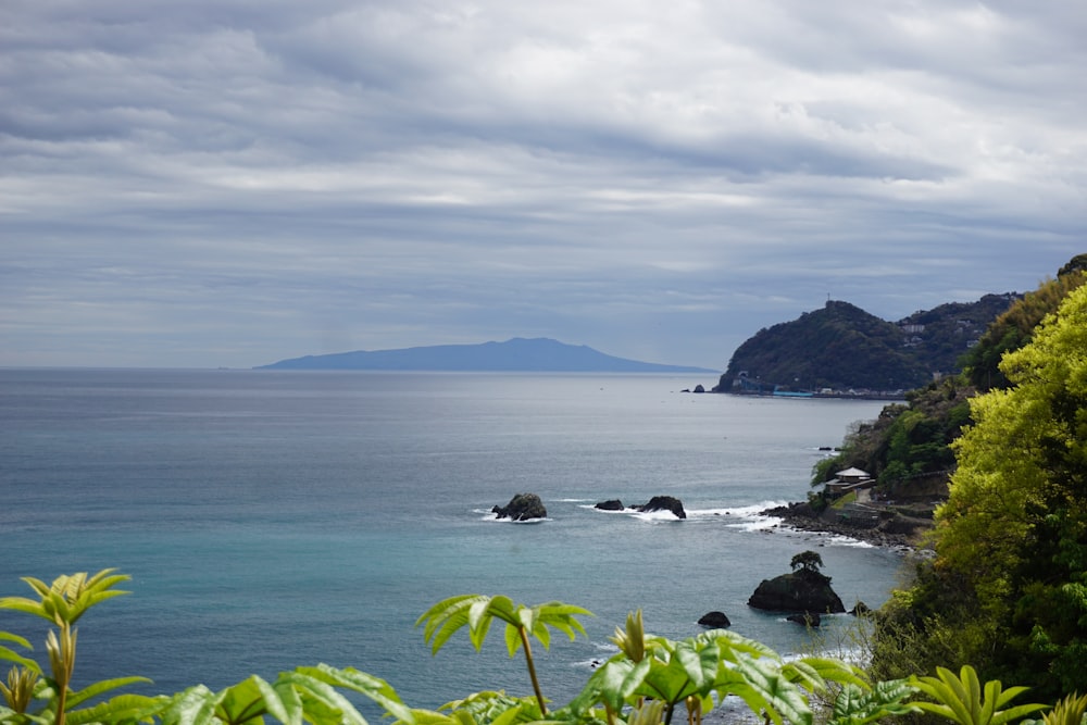 a body of water surrounded by lush green trees