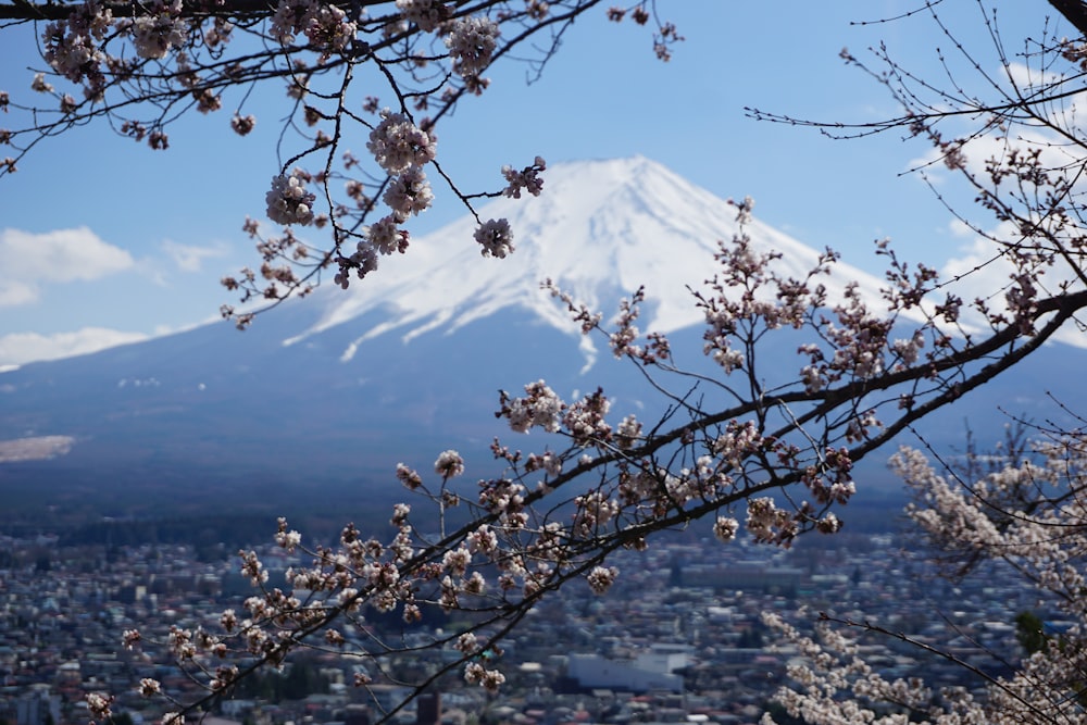 a view of a city with a mountain in the background