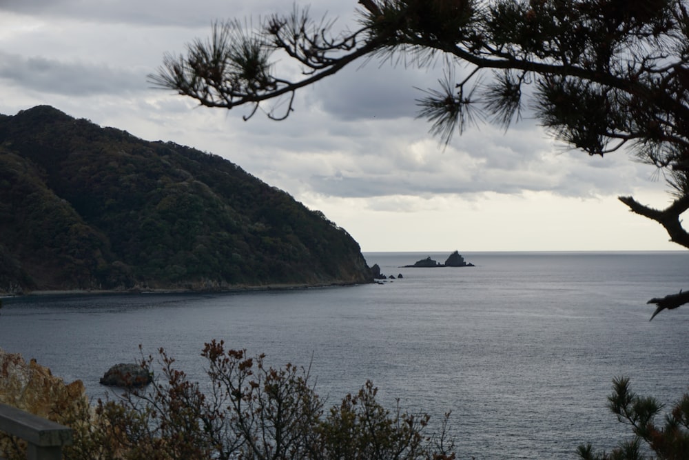 a large body of water surrounded by trees