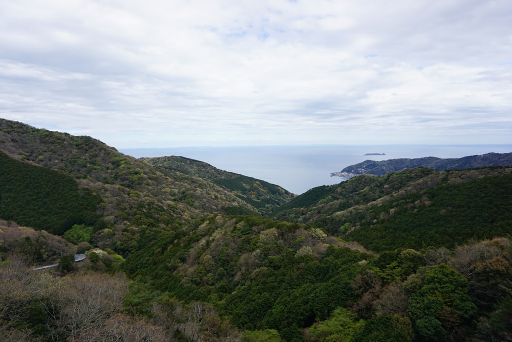 a scenic view of a valley with a body of water in the distance