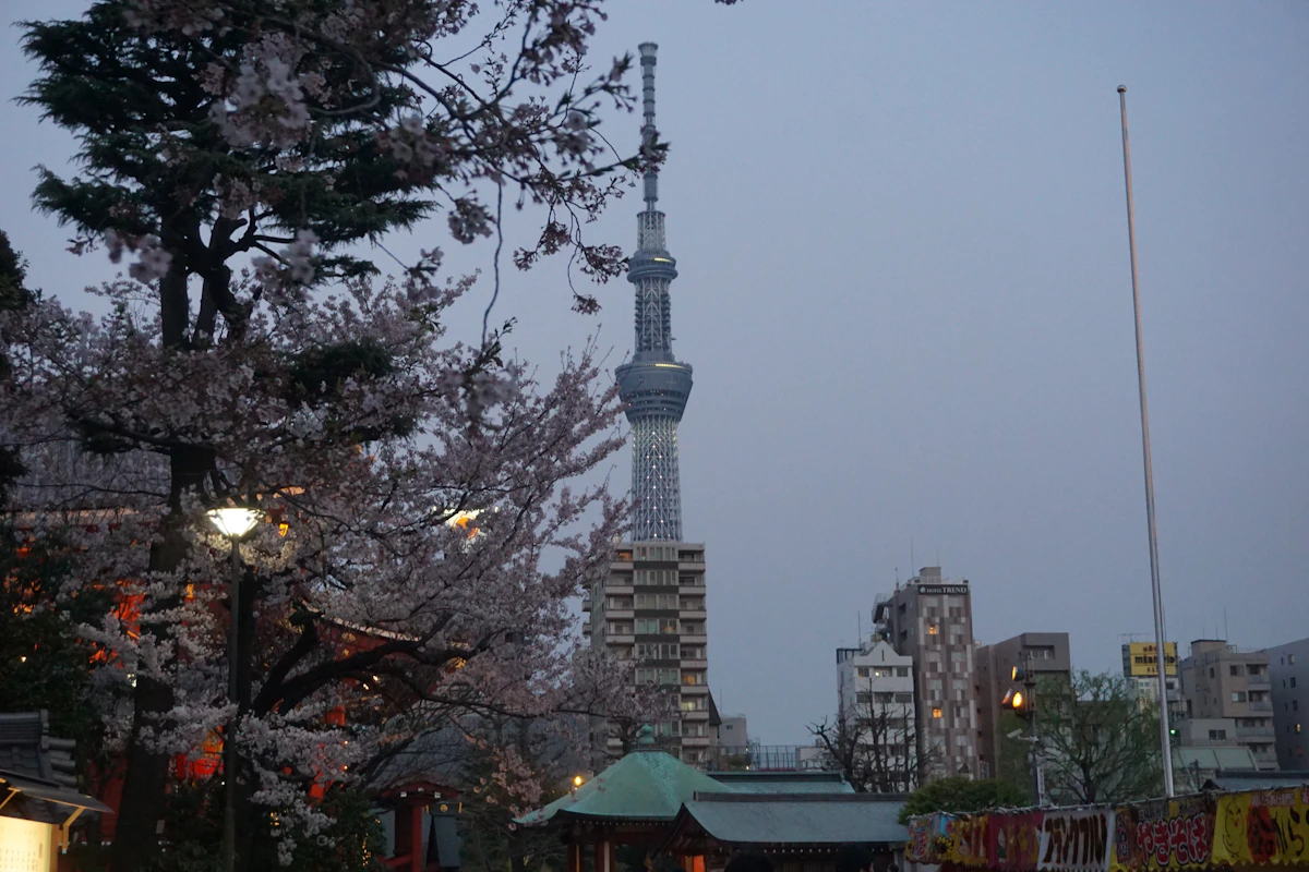 高いビルの向こうに見える東京タワー