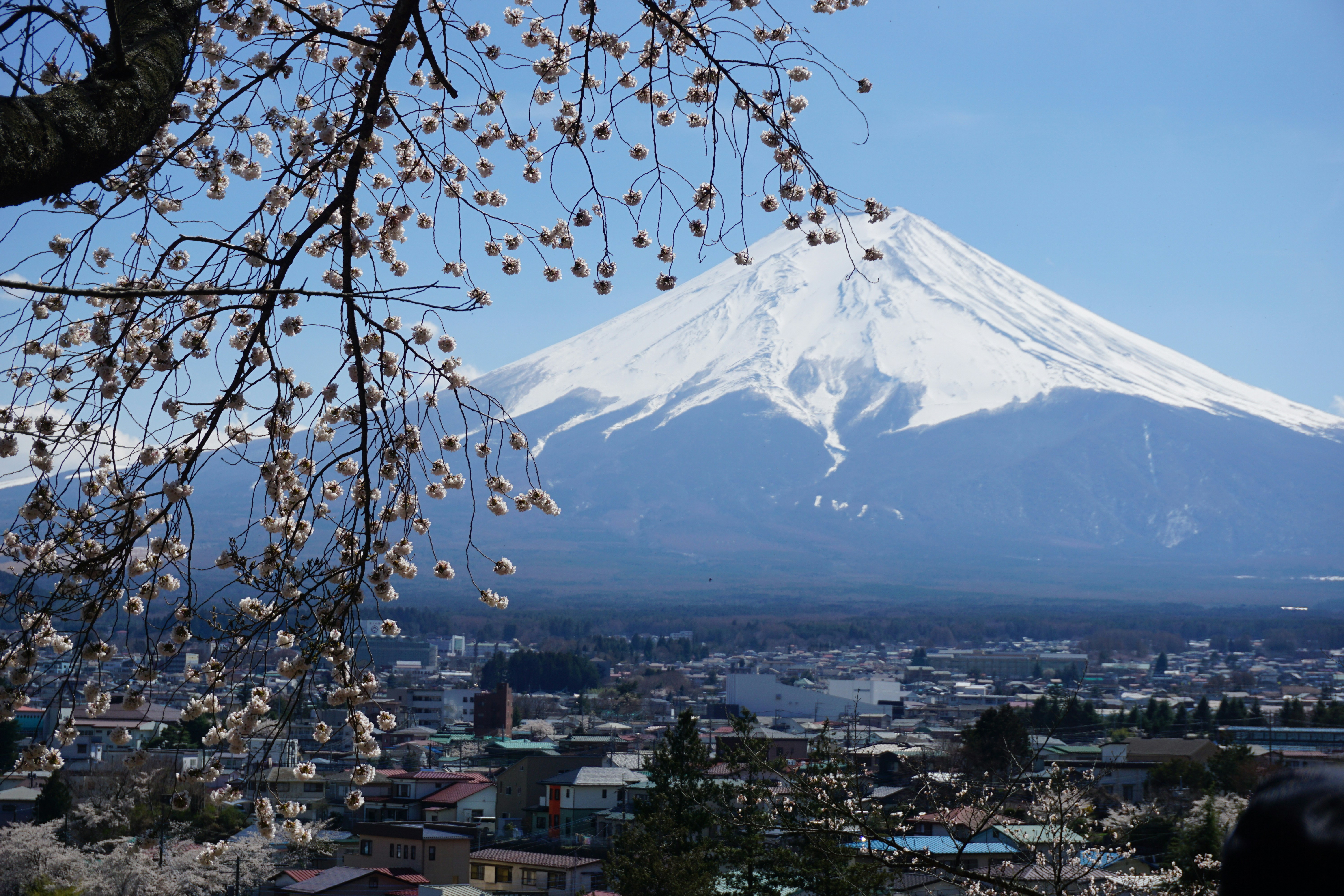 Photo by wanderplans