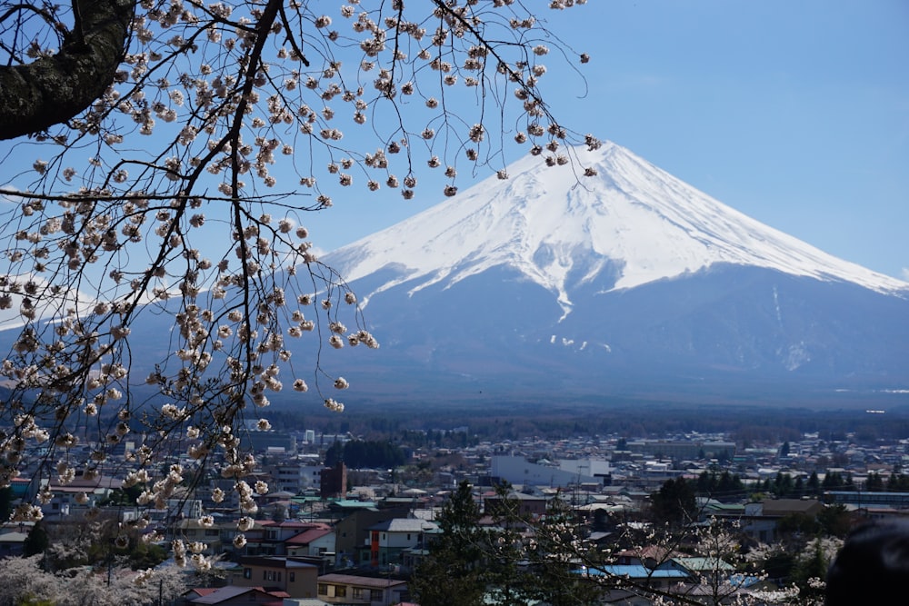 a view of a snow covered mountain in the distance