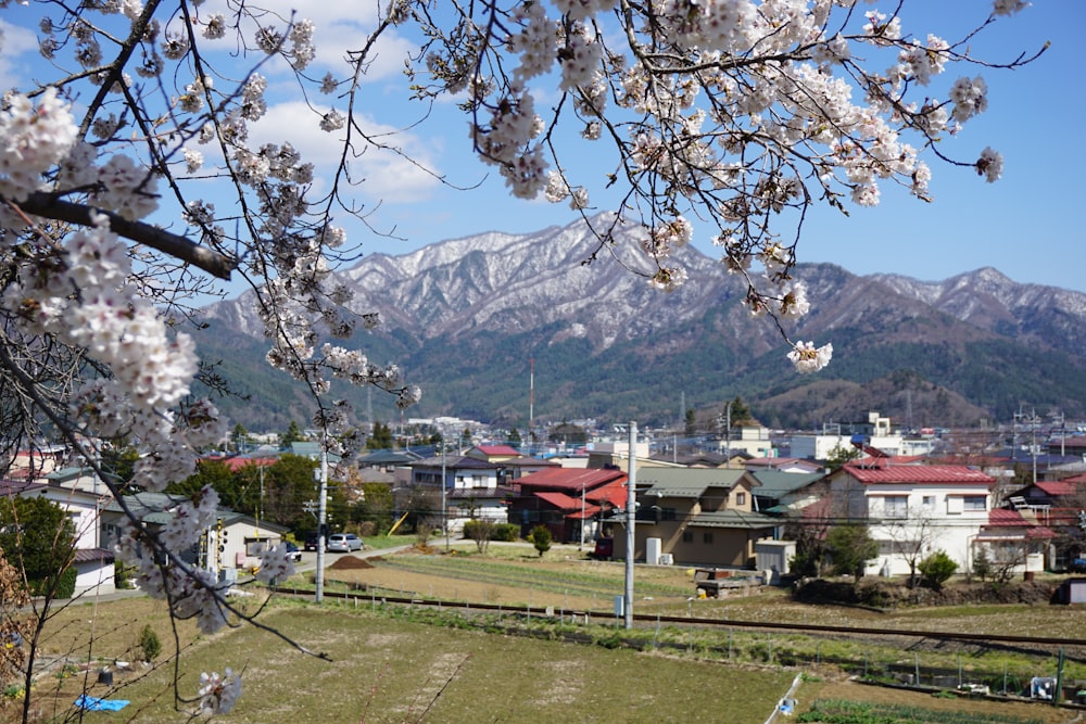 a view of a city with mountains in the background