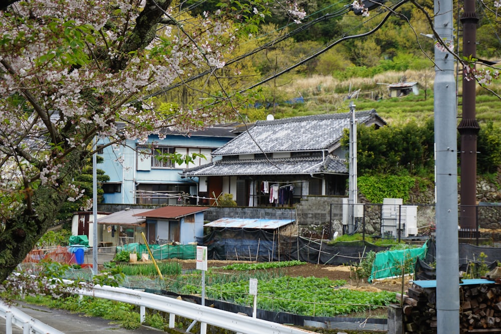 a house on the side of a road next to a tree