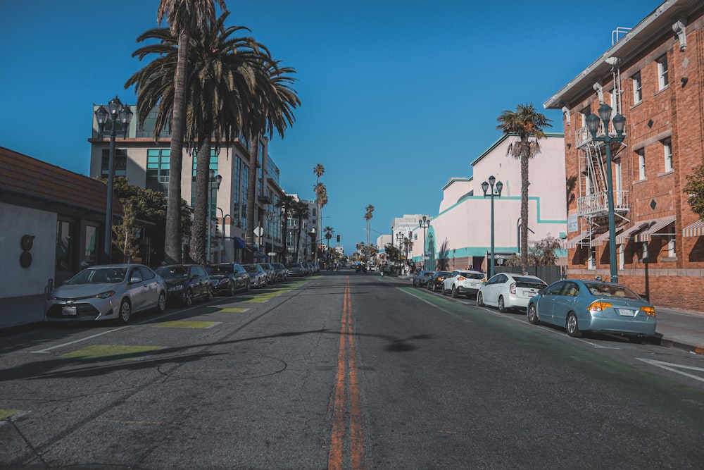 a street lined with parked cars and palm trees