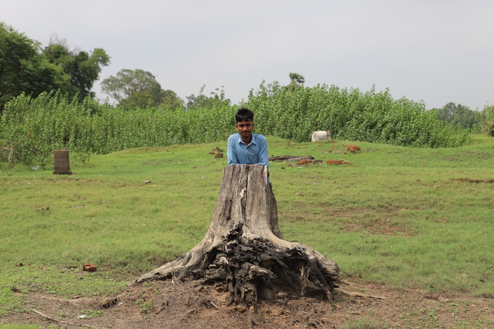a man standing on top of a tree stump