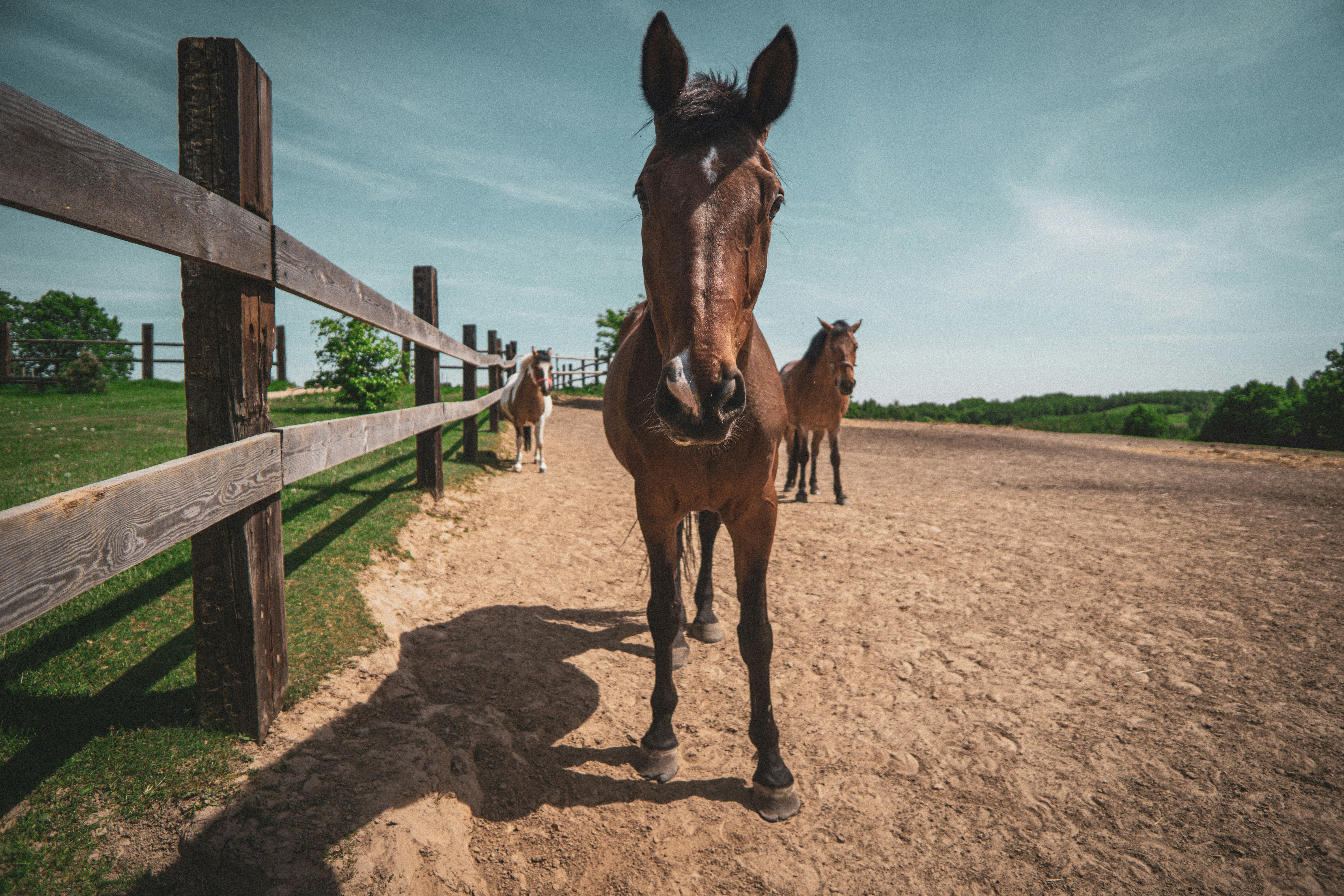 Kazimierz Dolny travel photo