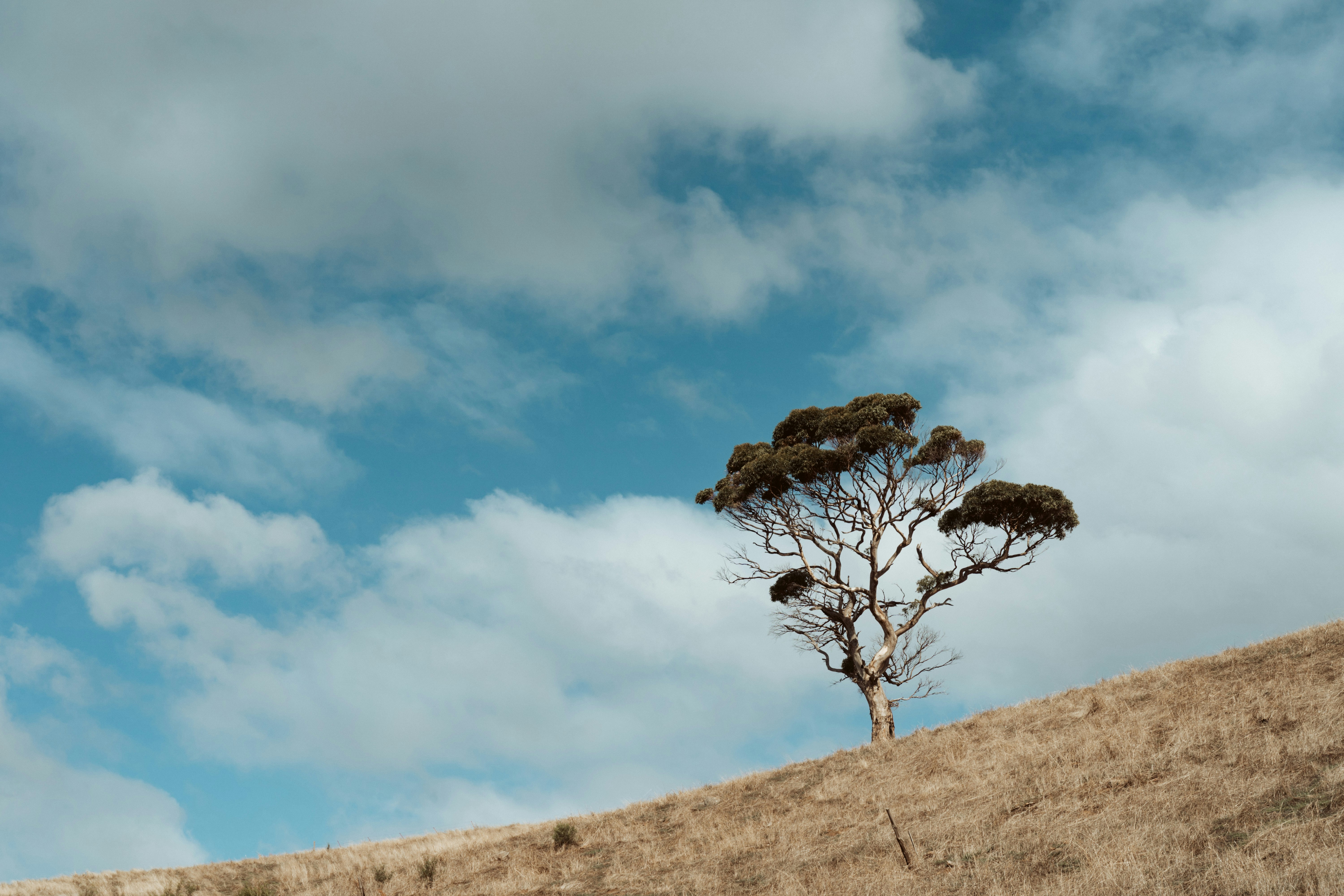 Photo by rodlong