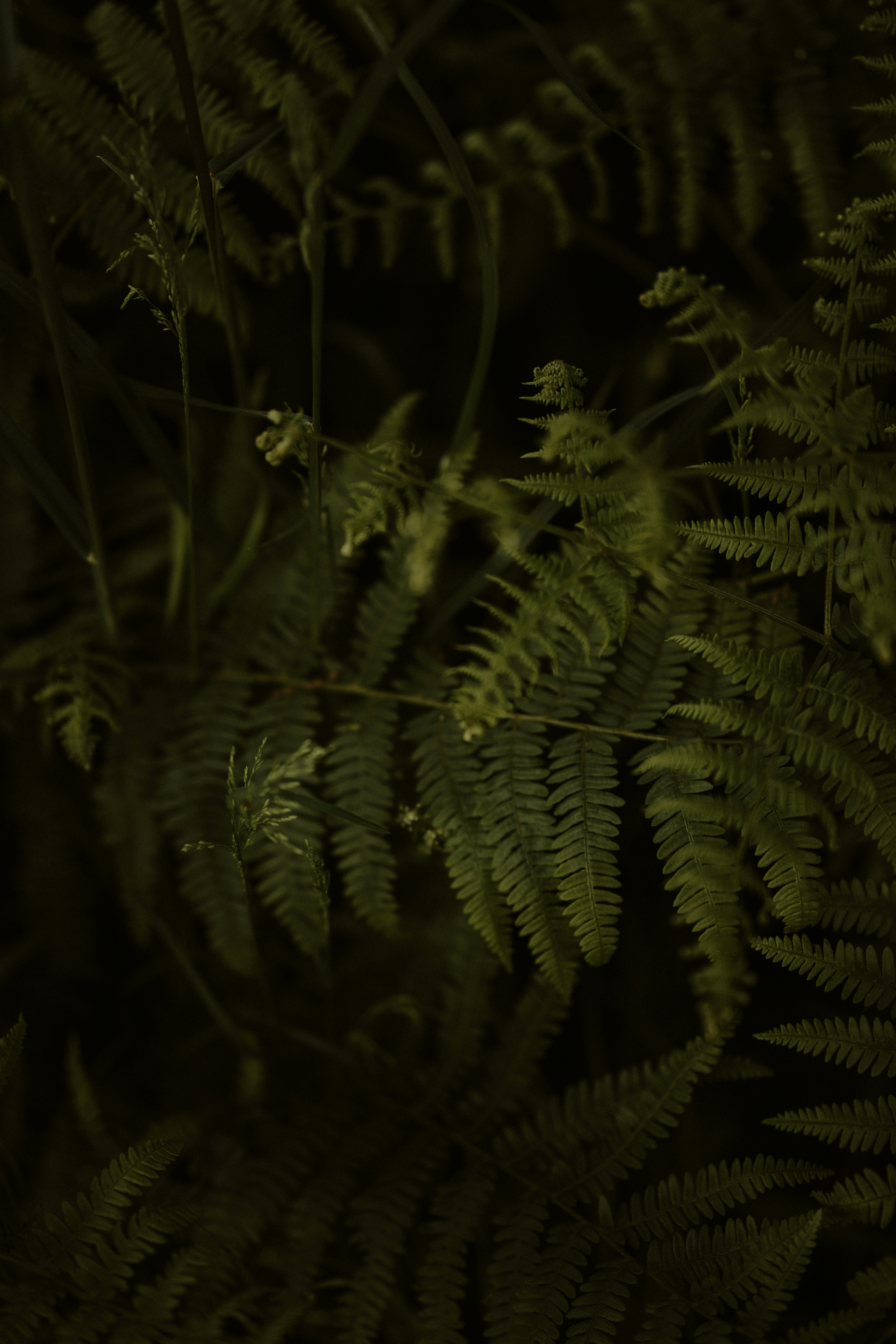 Photo by anniespratt