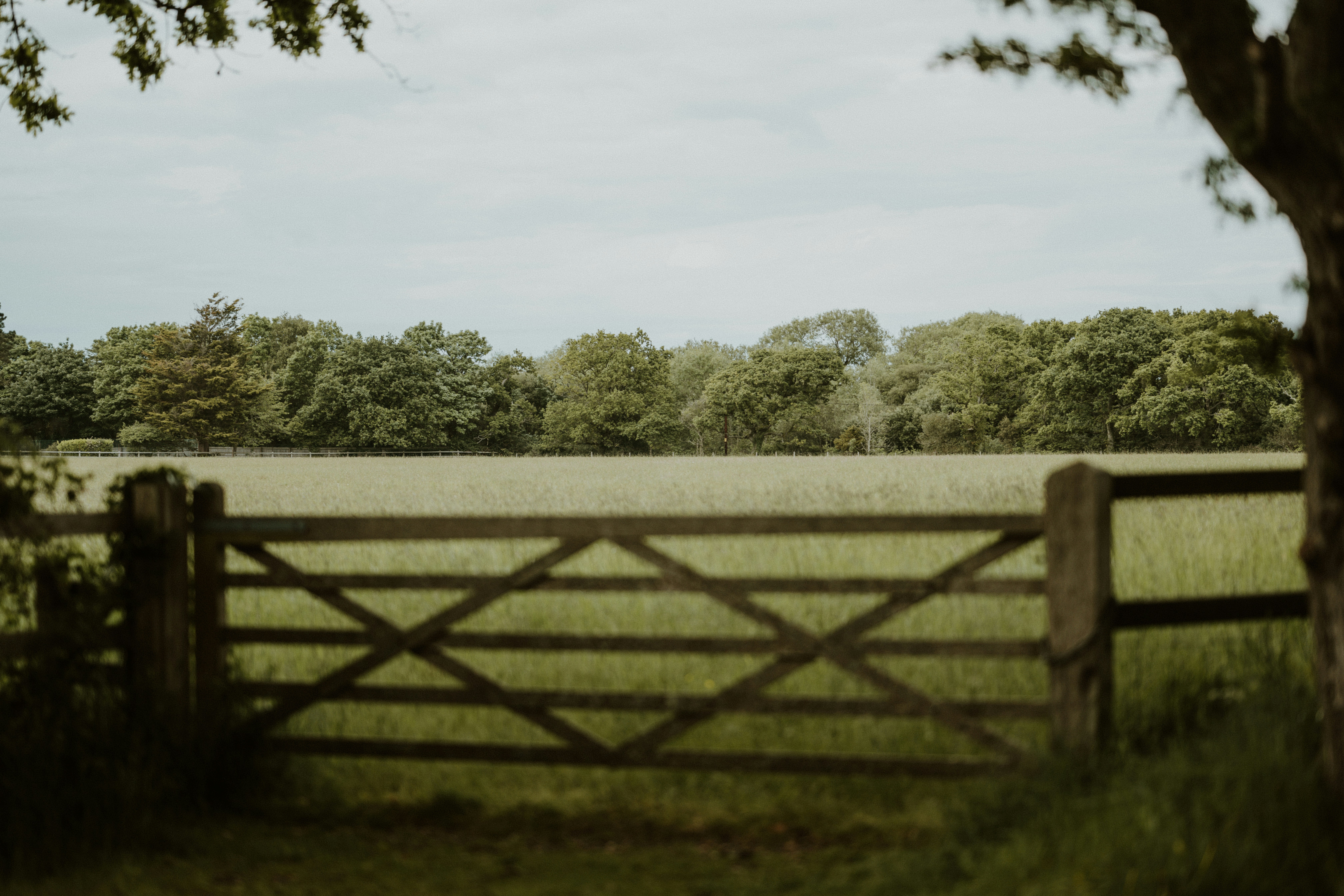 Photo by anniespratt