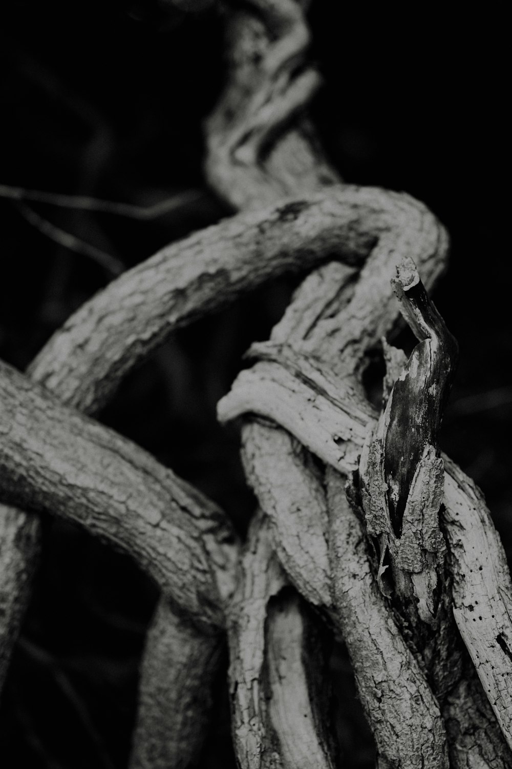 a black and white photo of a chain
