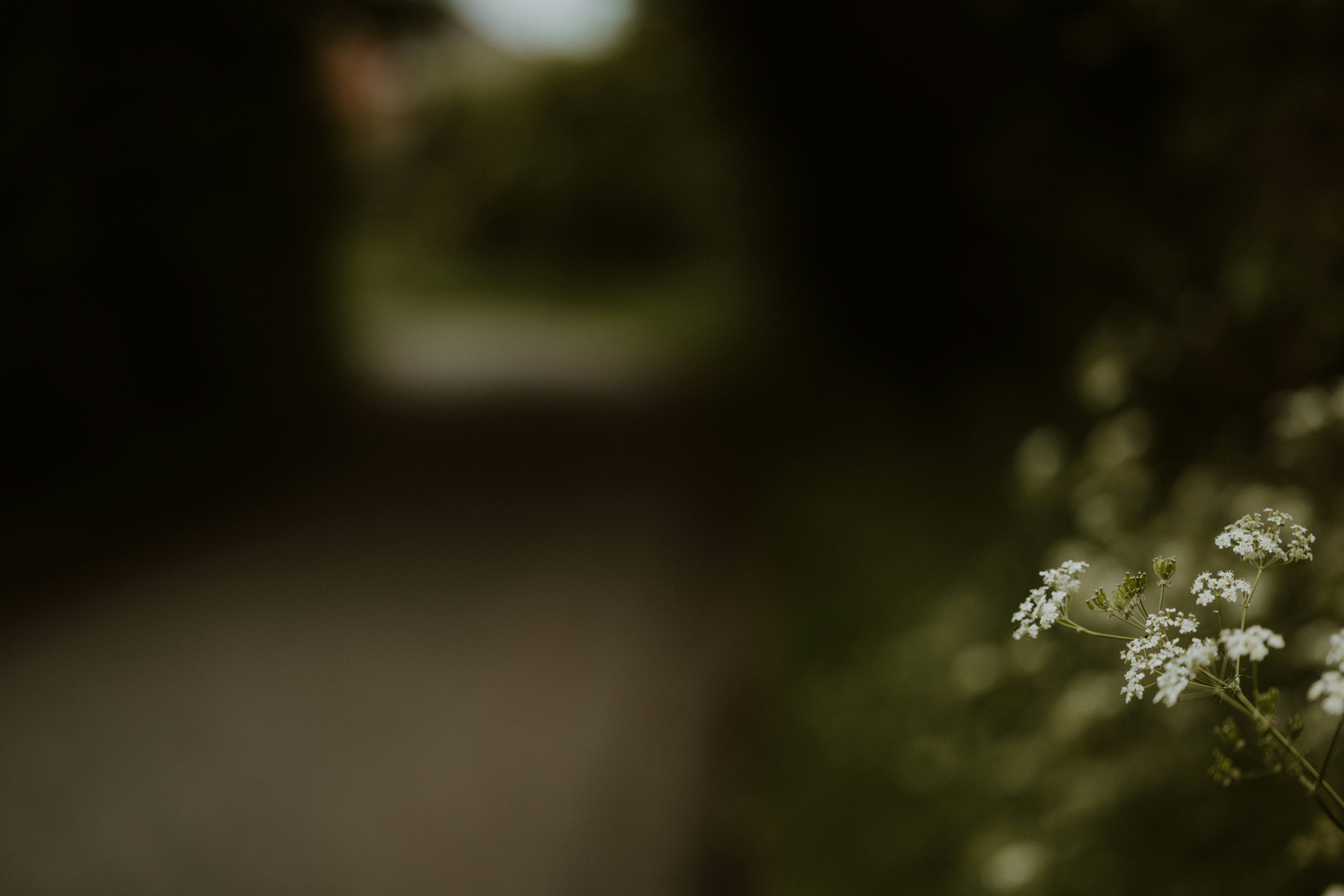 Photo by anniespratt