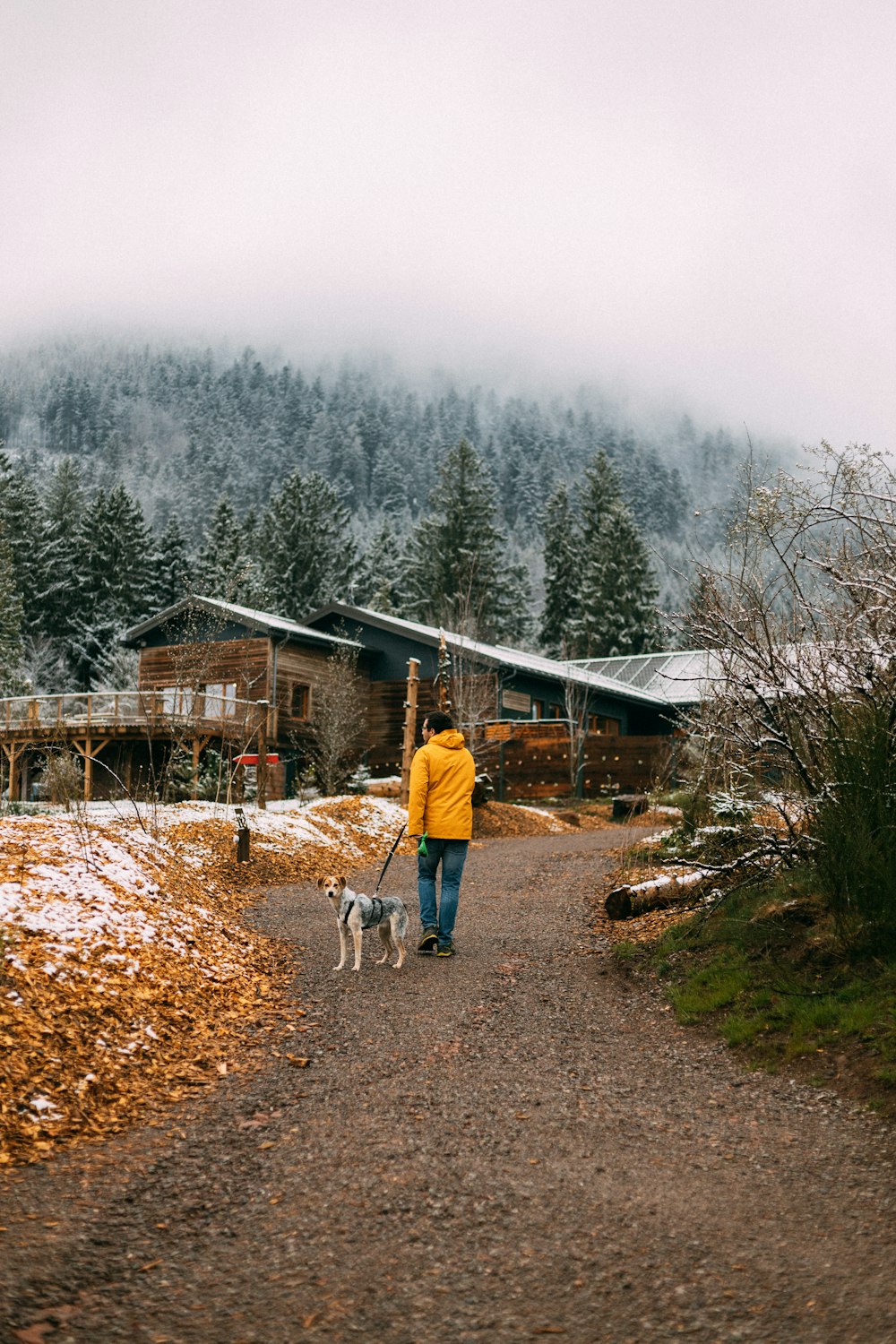 a person walking a dog on a path