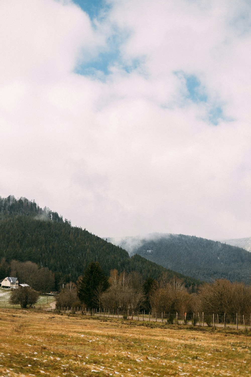 a horse grazing in a field with mountains in the background