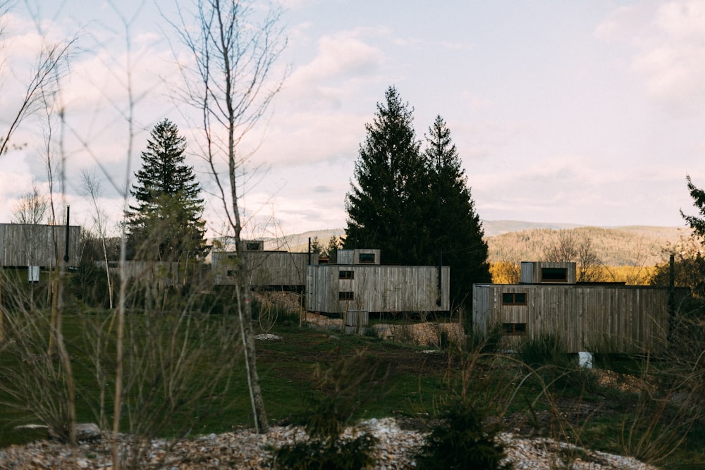 a group of wooden structures sitting in the middle of a forest